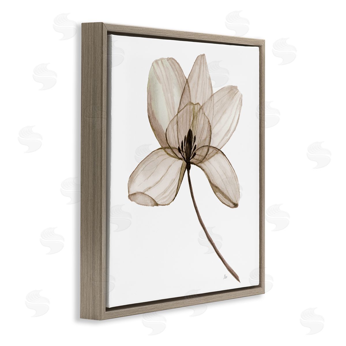 Nan Beige Opaque Blossom Brown Floating Frame Canvas Wall Art Print