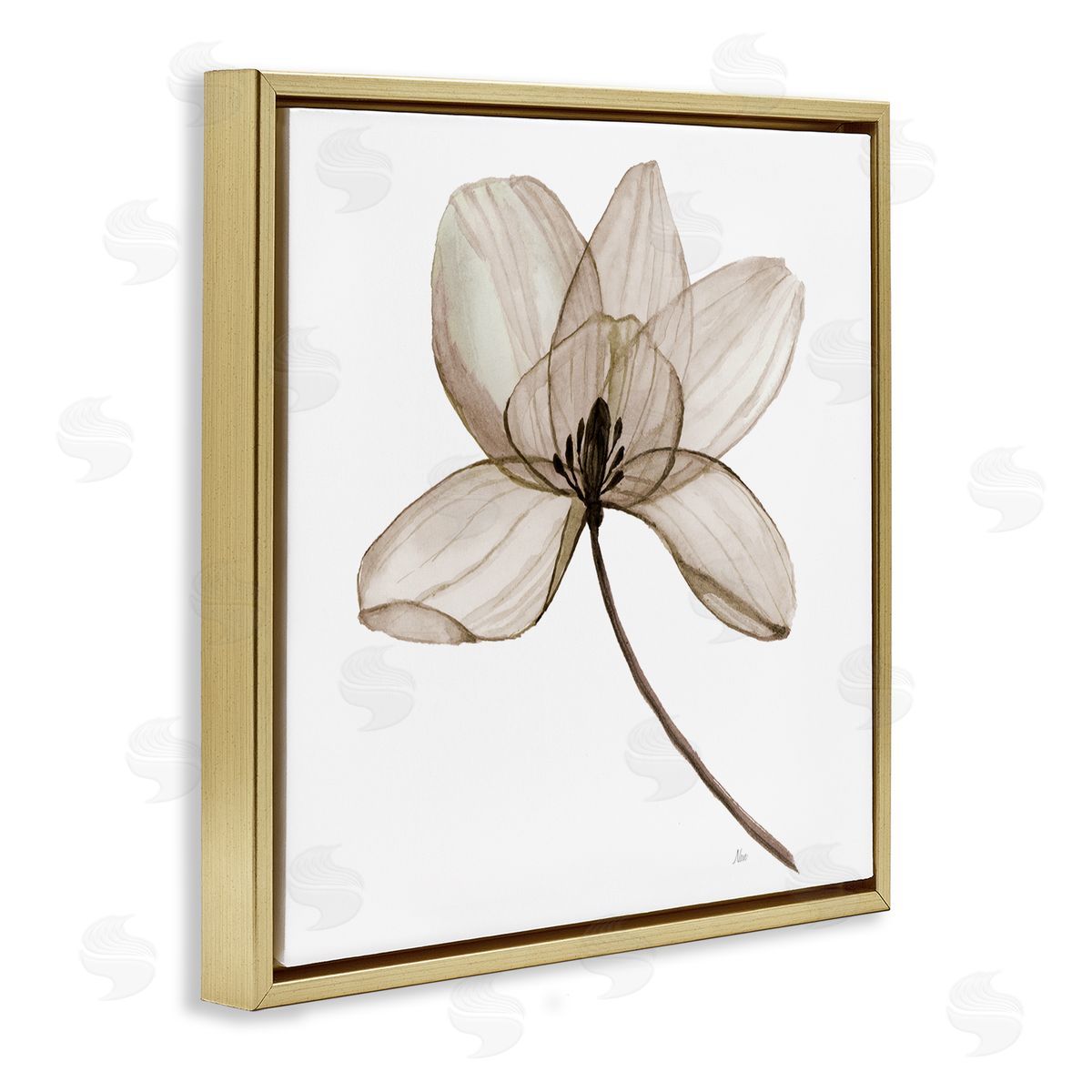 Nan Beige Opaque Blossom Gold Floating Frame Canvas Wall Art Print