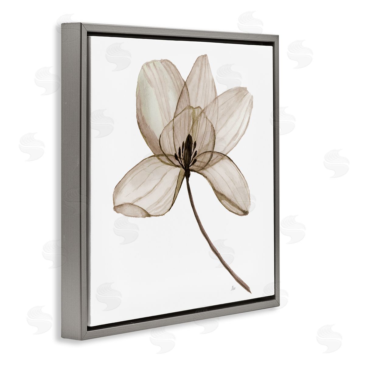Nan Beige Opaque Blossom Gray Floating Frame Canvas Wall Art Print