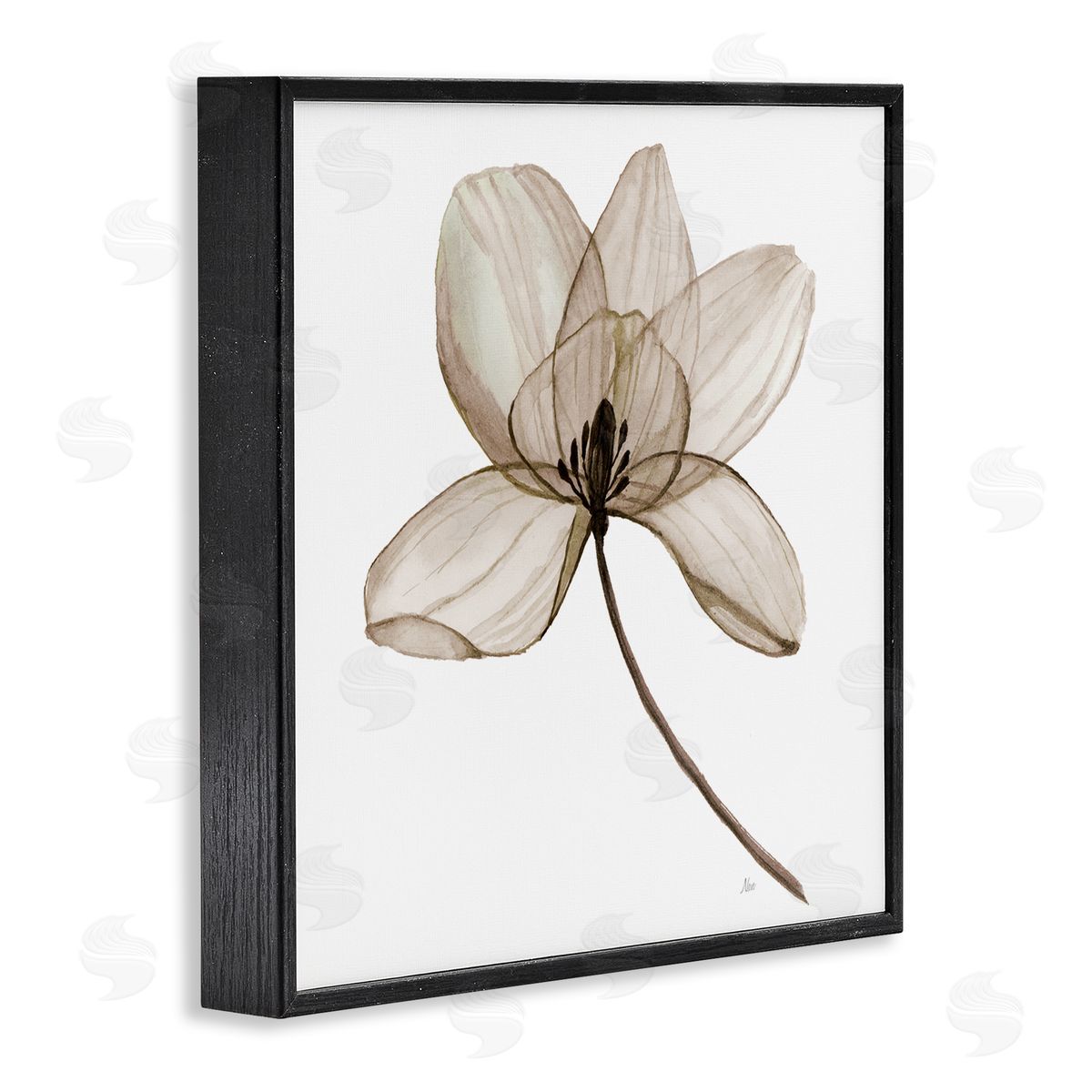 Nan Beige Opaque Blossom Black Framed Giclee Wall Art Print