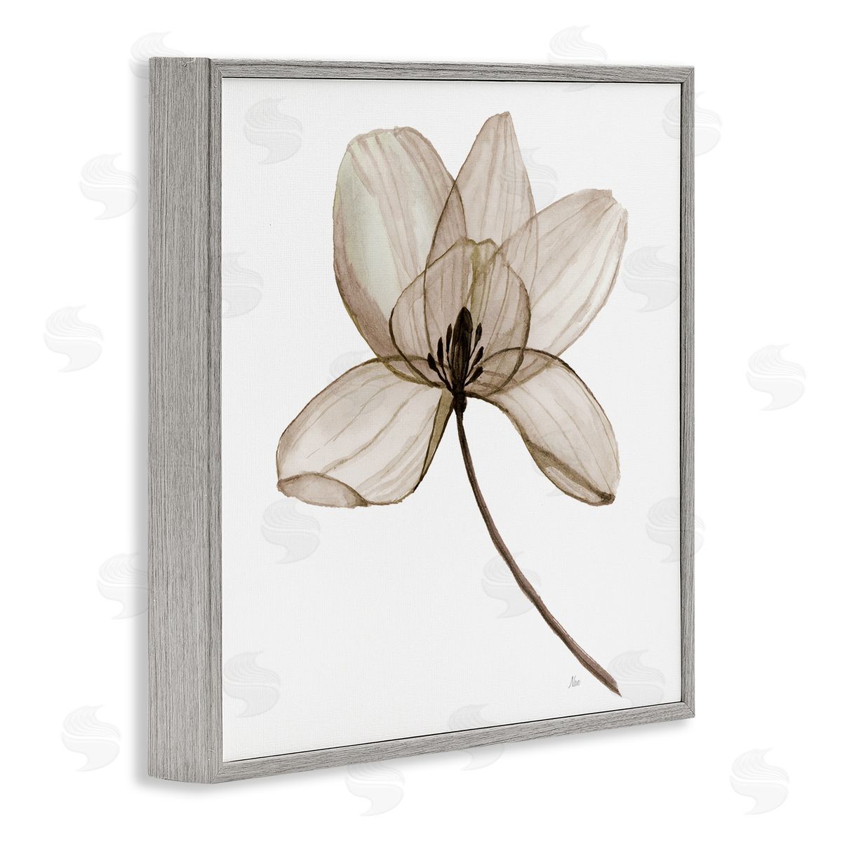 Nan Beige Opaque Blossom Gray Framed Giclee Wall Art Print