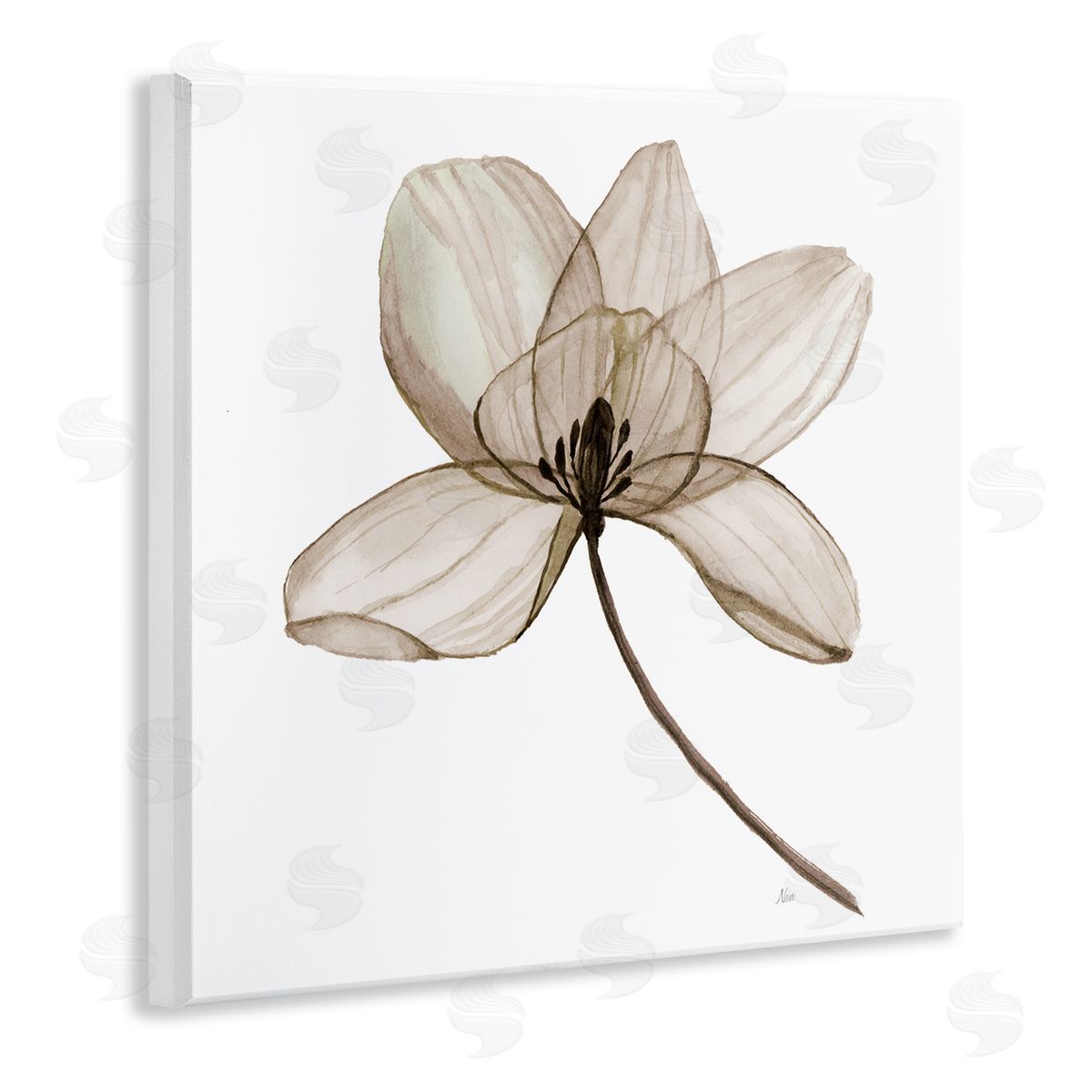 Nan Beige Opaque Blossom Wooden Wall Plaque Art Print