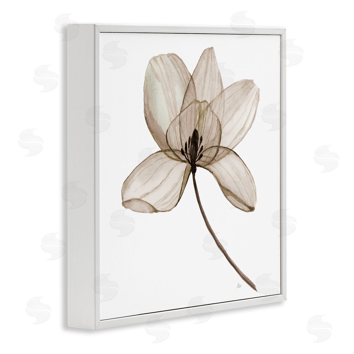 Nan Beige Opaque Blossom White Framed Giclee Wall Art Print