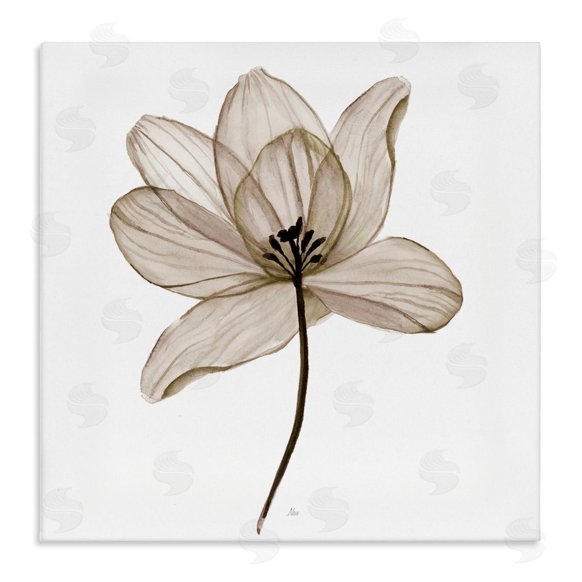 Nan Beige Opaque Flower Canvas Wall Art Print