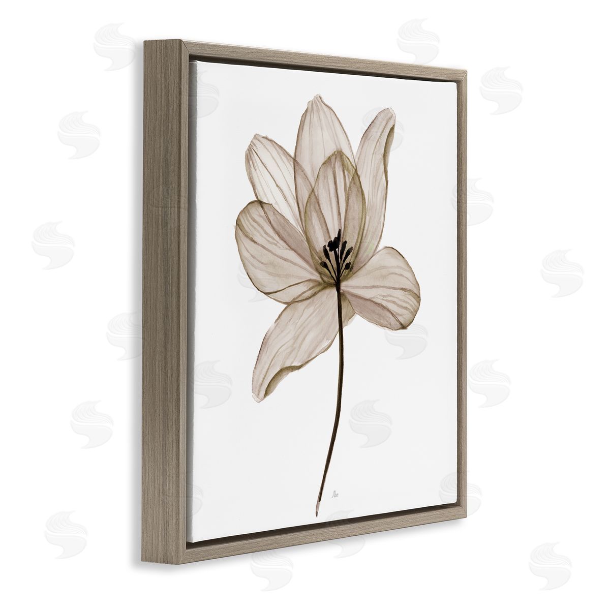 Nan Beige Opaque Flower Brown Floating Frame Canvas Wall Art Print