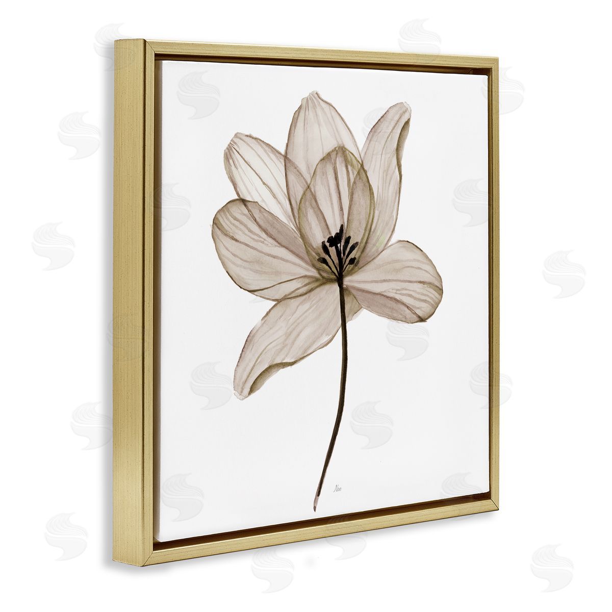 Nan Beige Opaque Flower Gold Floating Frame Canvas Wall Art Print