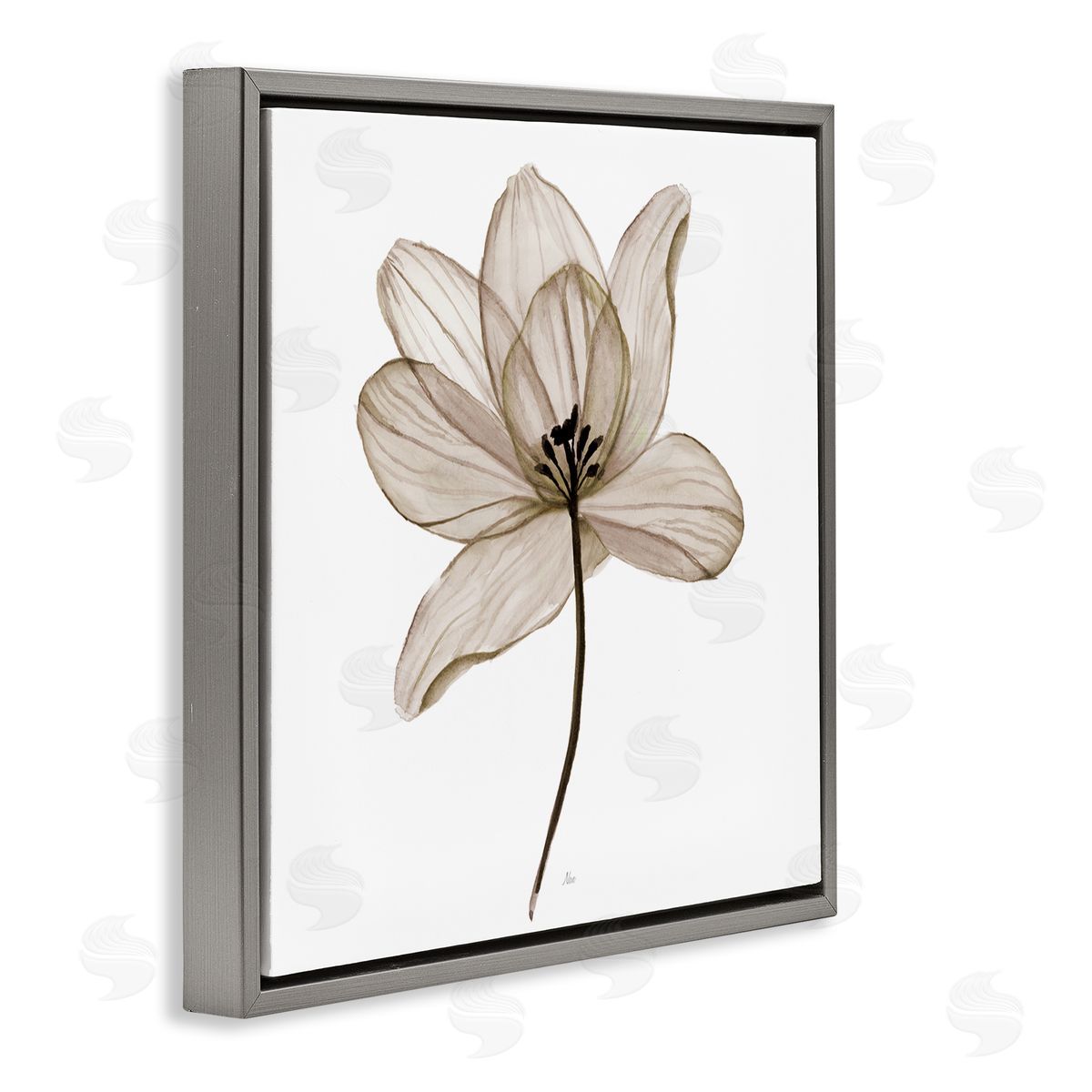 Nan Beige Opaque Flower Gray Floating Frame Canvas Wall Art Print