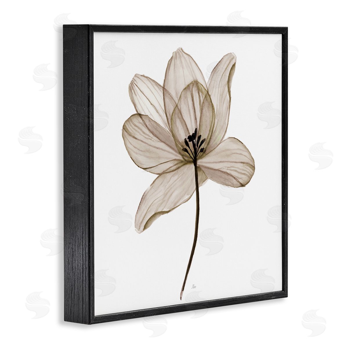 Nan Beige Opaque Flower Black Framed Giclee Wall Art Print