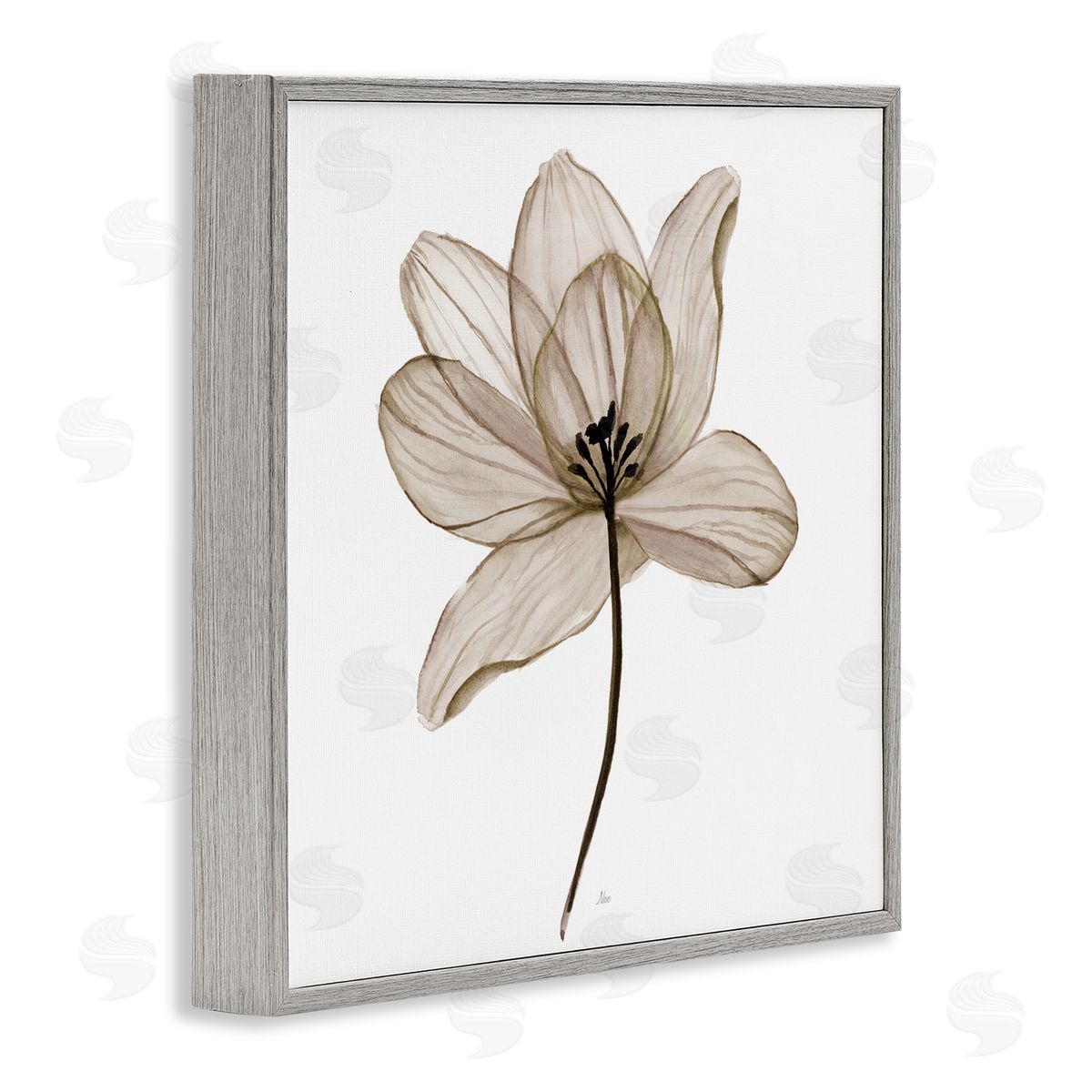 Nan Beige Opaque Flower Gray Framed Giclee Wall Art Print