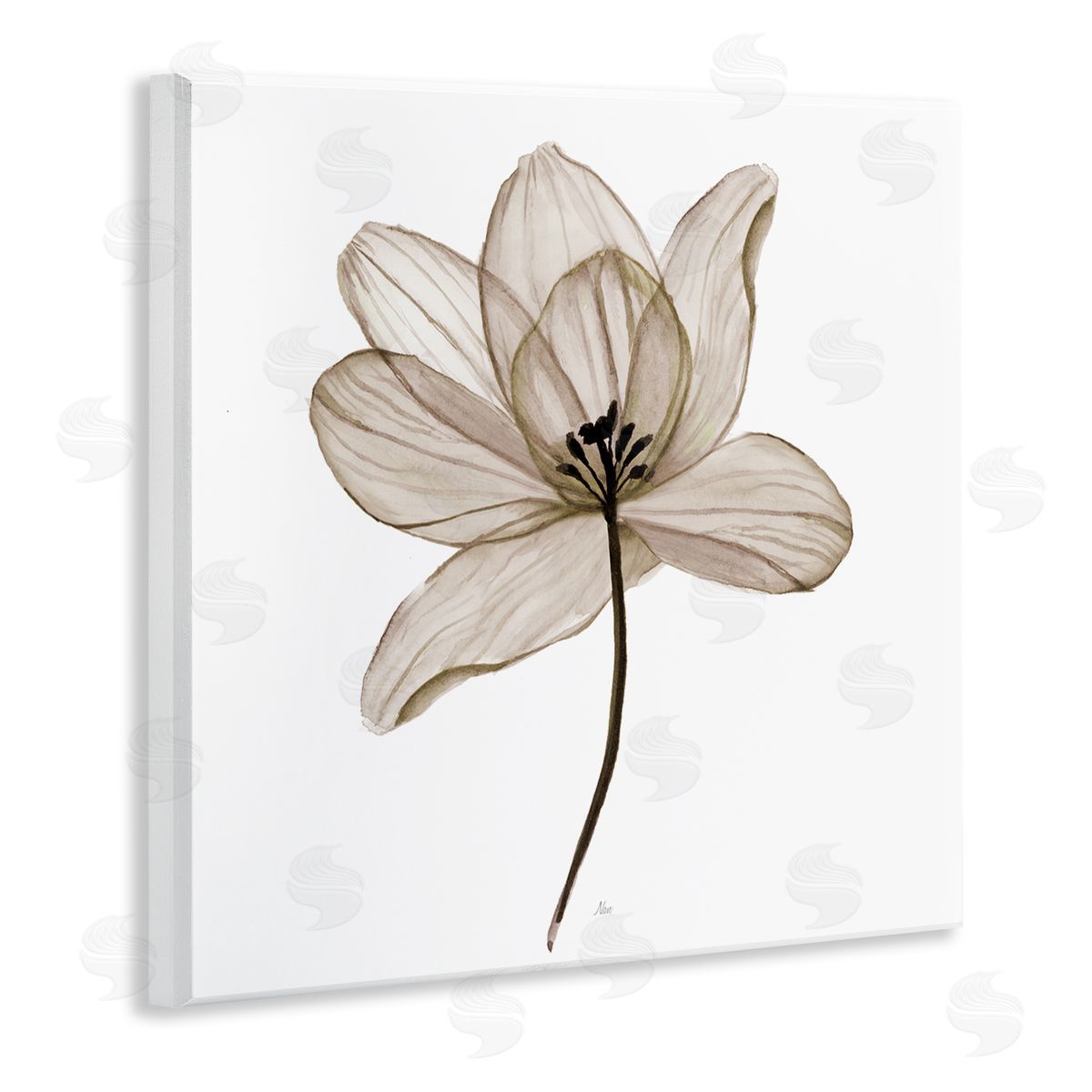 Nan Beige Opaque Flower Wooden Wall Plaque Art Print