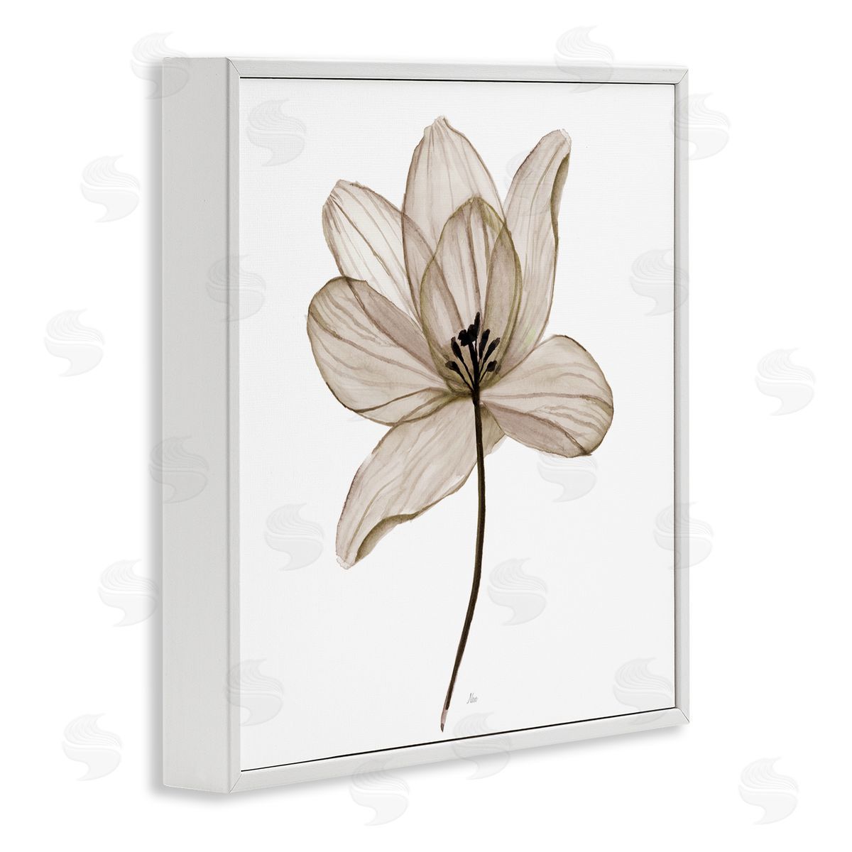 Nan Beige Opaque Flower White Framed Giclee Wall Art Print