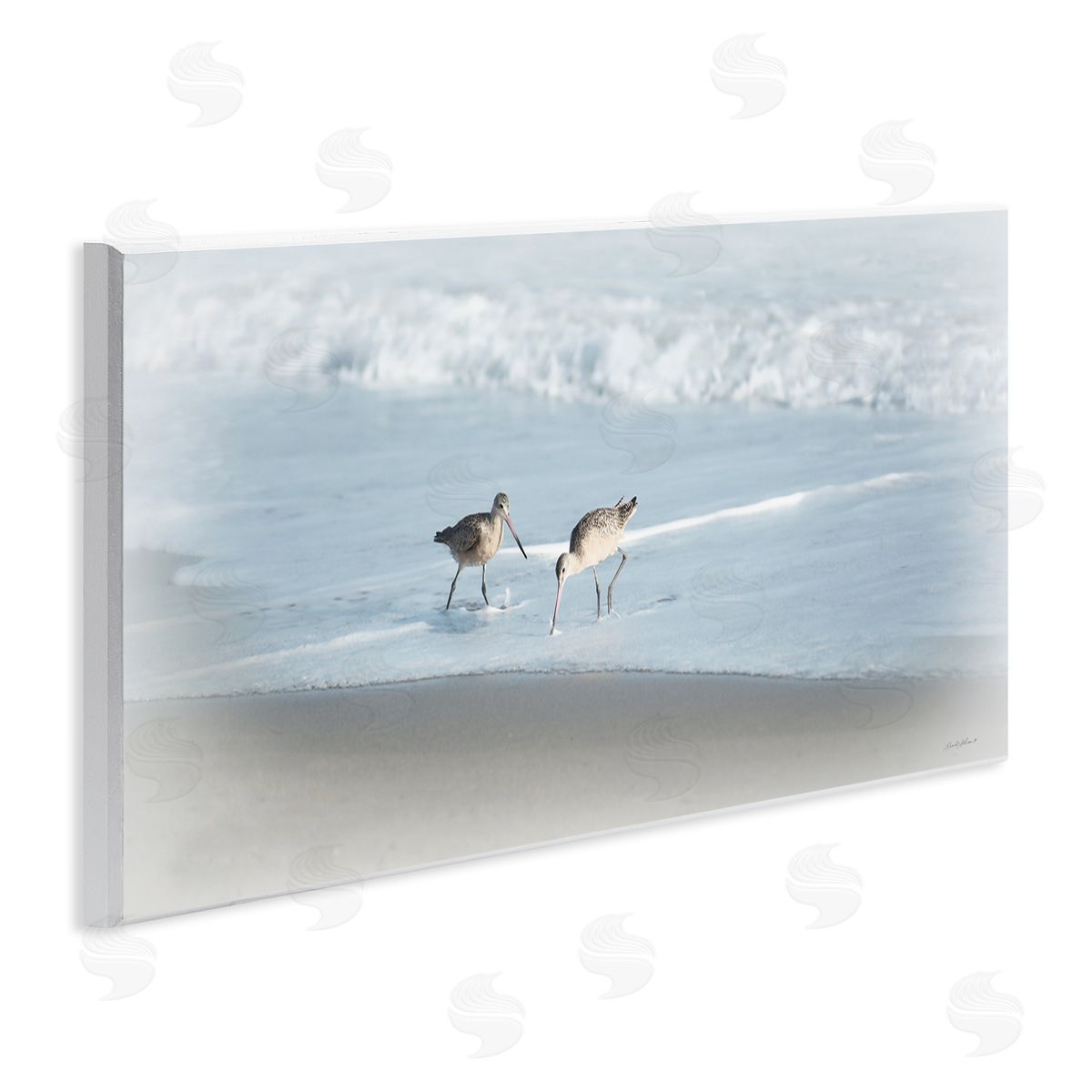 Rhonda Addison Sandpiper Pair on Shore