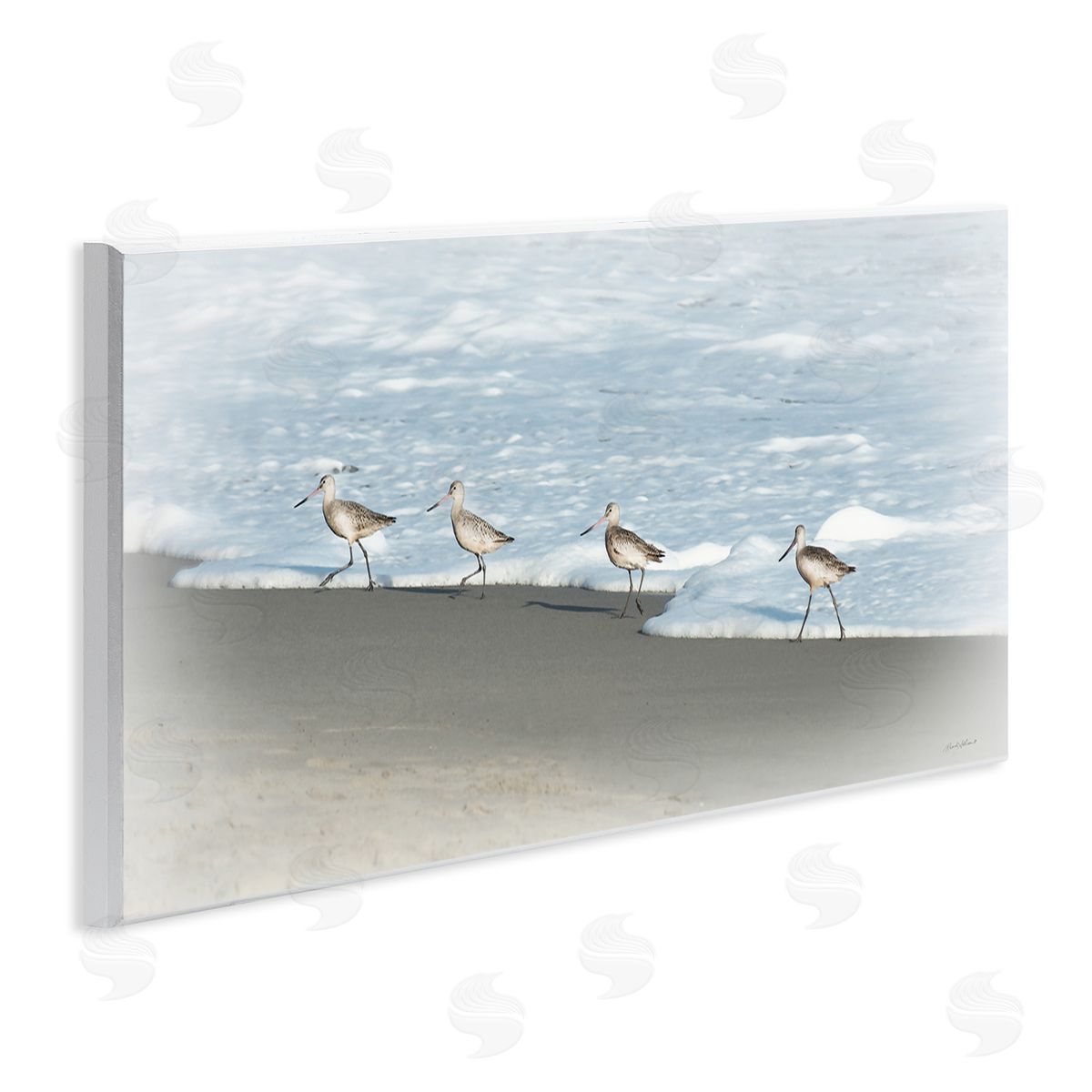 Rhonda Addison Four Sandpipers on Beach