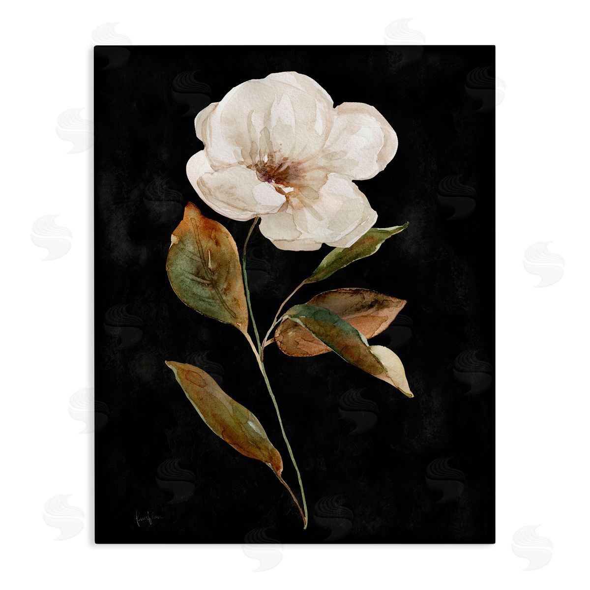 Livi Finn White Bloom on Black Canvas Wall Art Print
