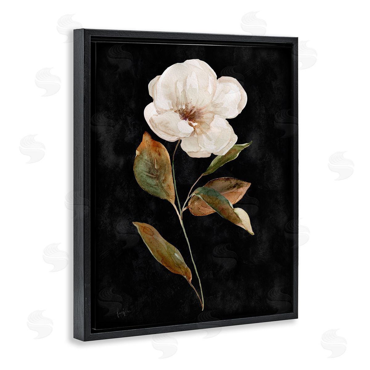 Livi Finn White Bloom on Black Black Floating Frame Canvas Wall Art Print