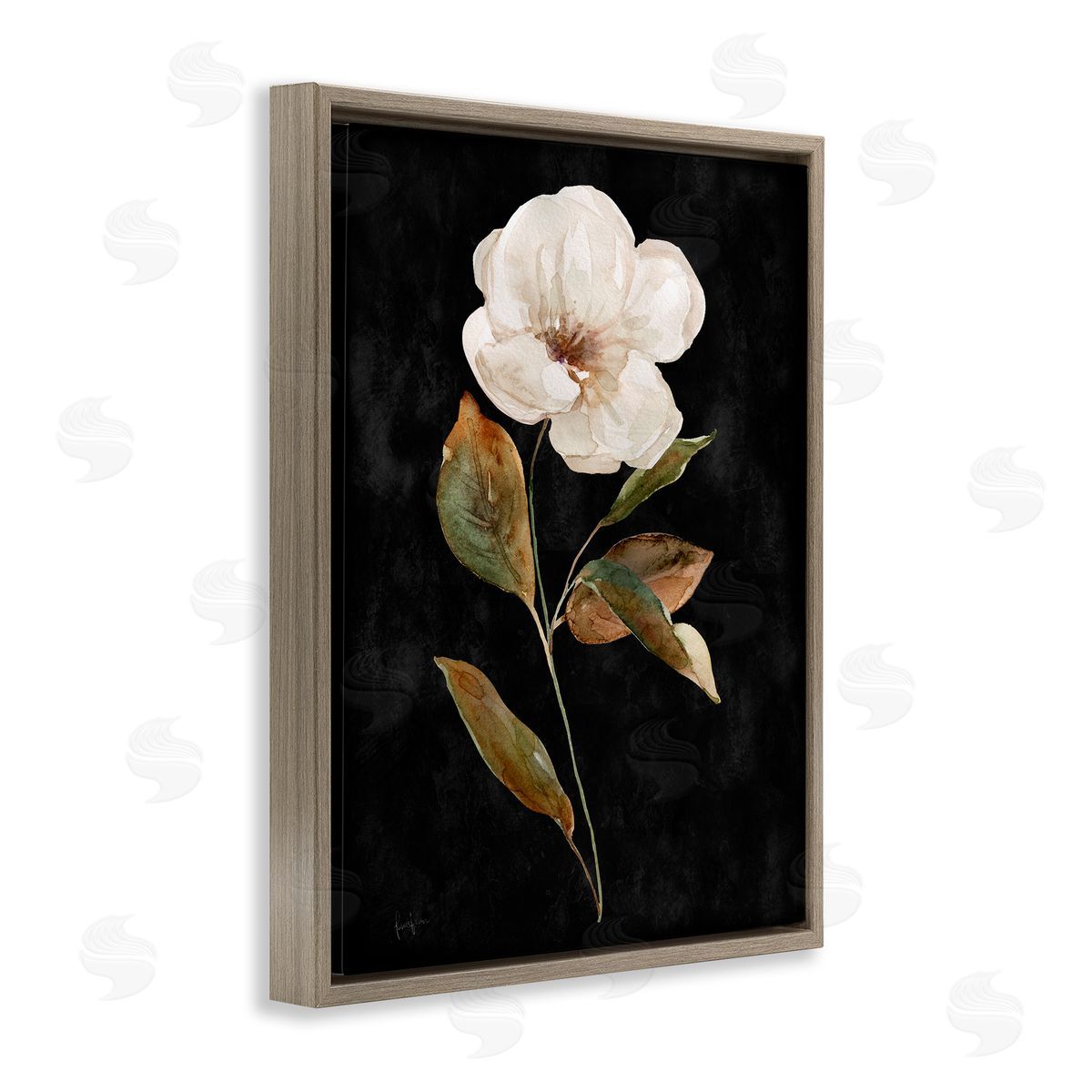 Livi Finn White Bloom on Black Brown Floating Frame Canvas Wall Art Print