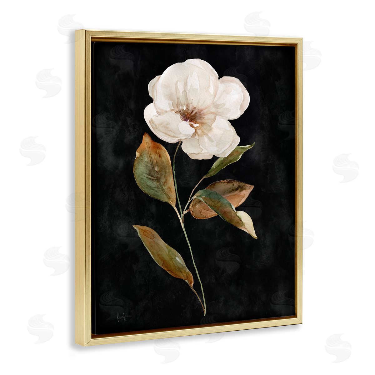 Livi Finn White Bloom on Black Gold Floating Frame Canvas Wall Art Print