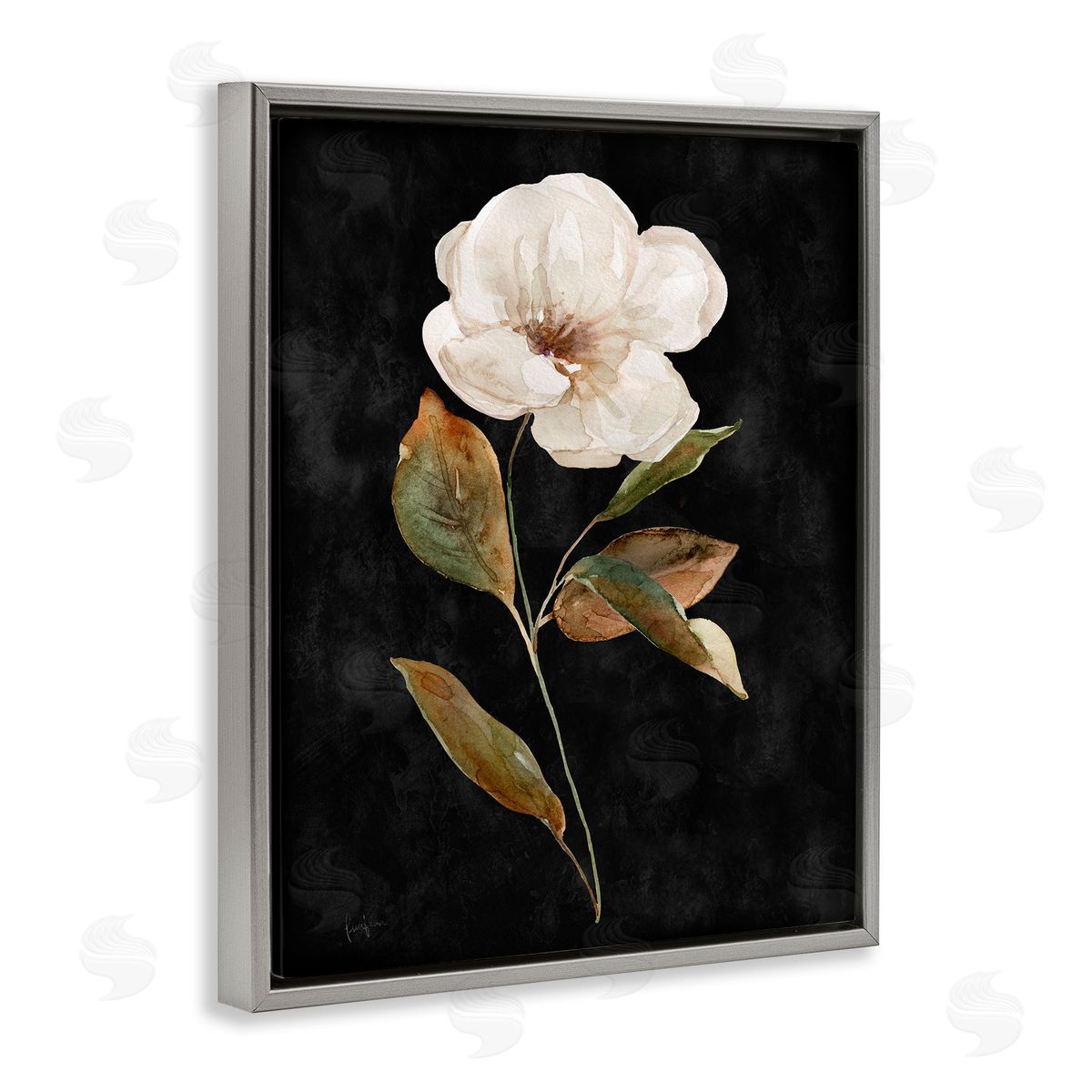 Livi Finn White Bloom on Black Gray Floating Frame Canvas Wall Art Print
