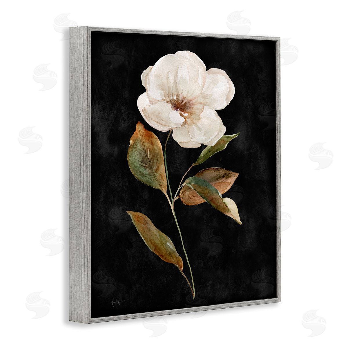 Livi Finn White Bloom on Black Gray Framed Giclee Wall Art Print