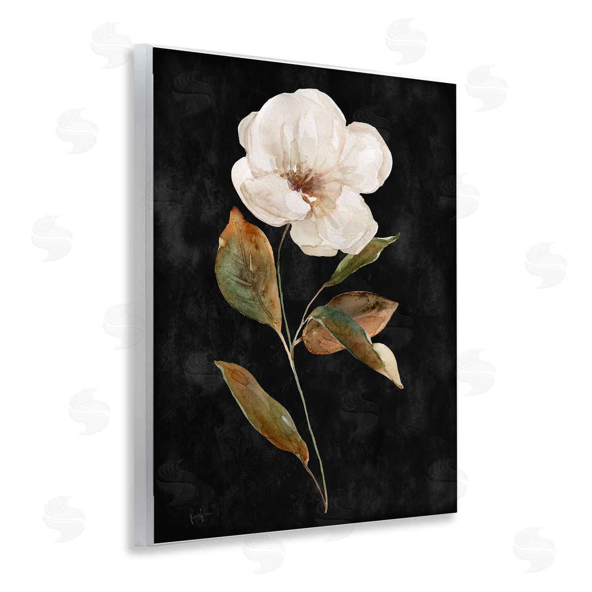 Livi Finn White Bloom on Black Wooden Wall Plaque Art Print