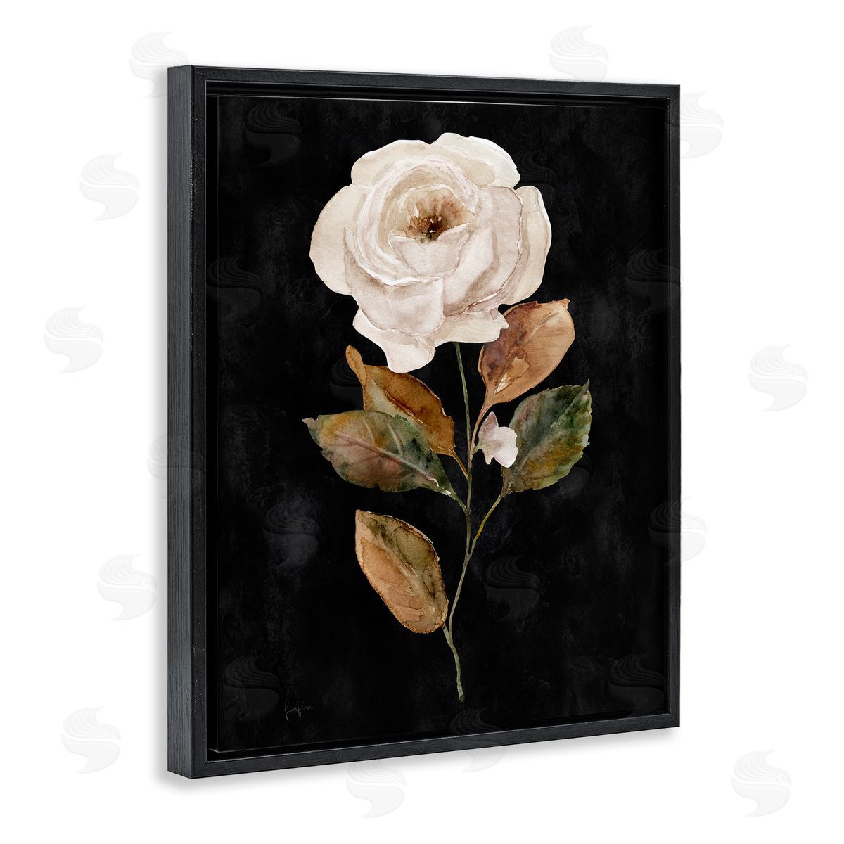 Livi Finn White Rose on Black Black Floating Frame Canvas Wall Art Print