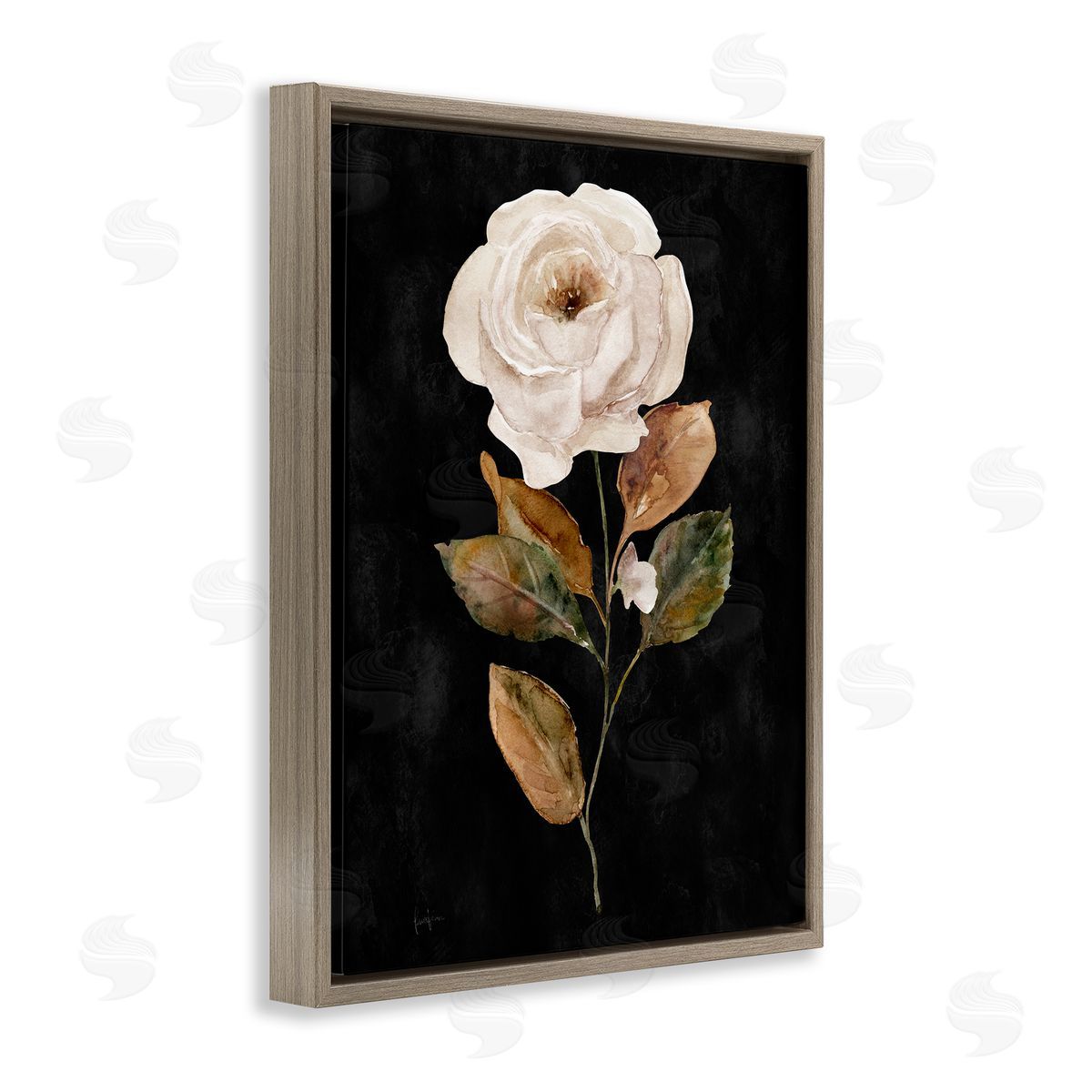 Livi Finn White Rose on Black Brown Floating Frame Canvas Wall Art Print