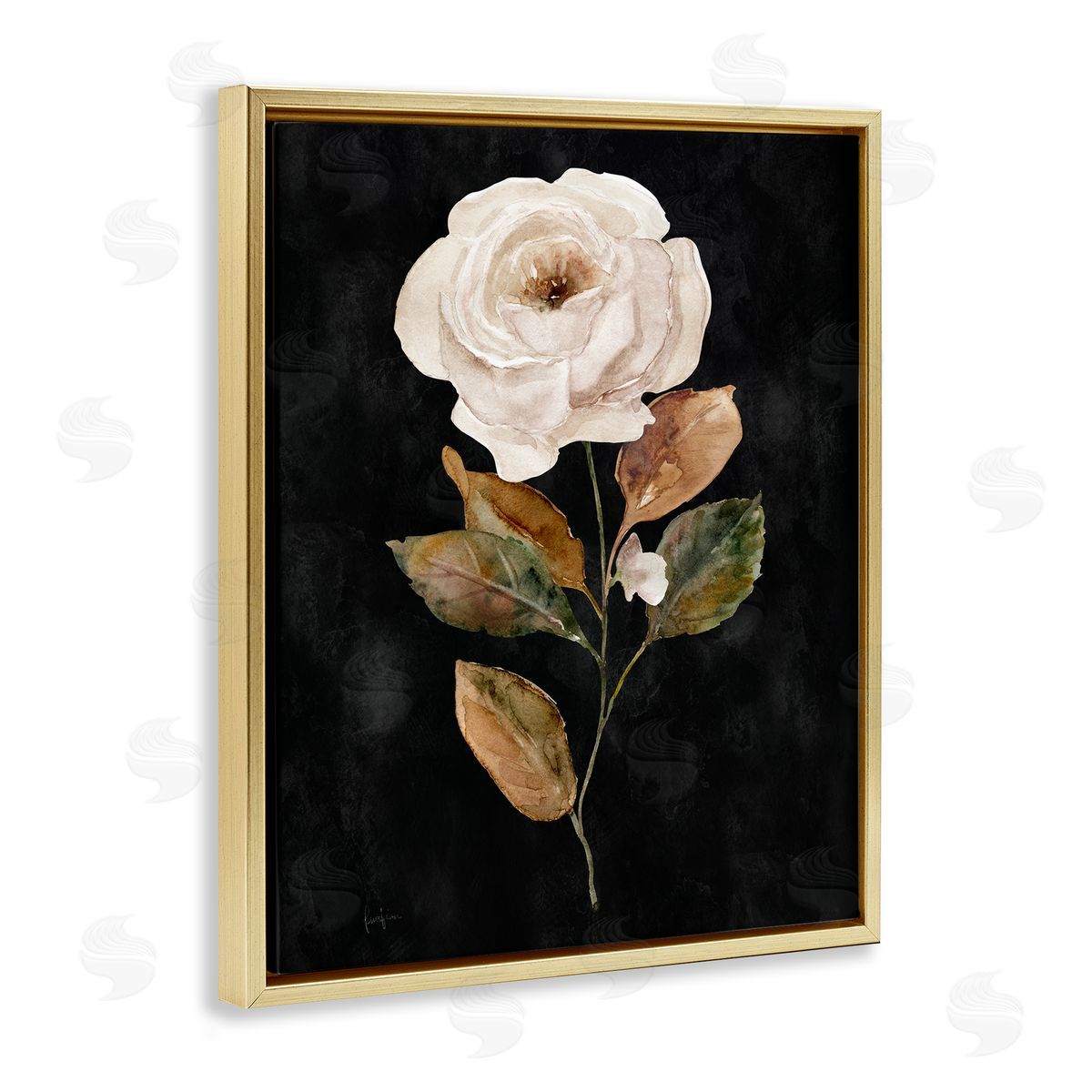 Livi Finn White Rose on Black Gold Floating Frame Canvas Wall Art Print