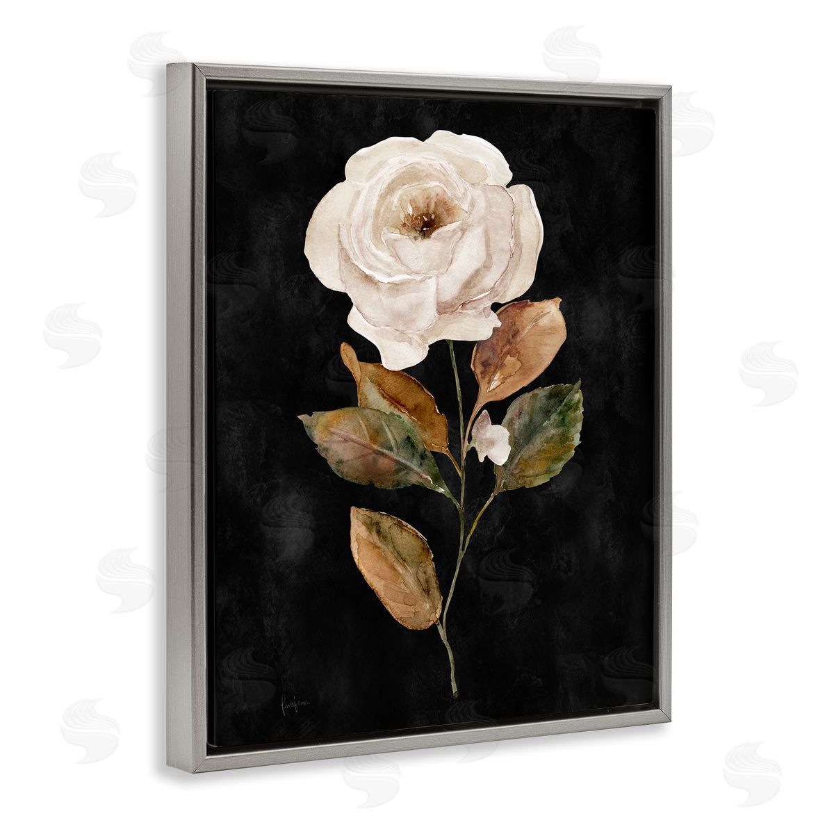 Livi Finn White Rose on Black Gray Floating Frame Canvas Wall Art Print