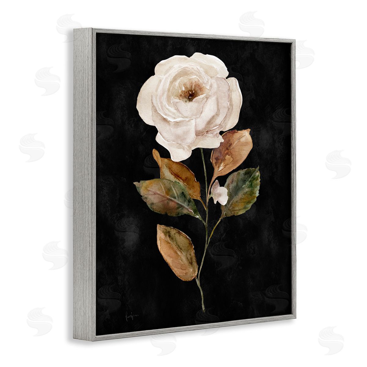 Livi Finn White Rose on Black Gray Framed Giclee Wall Art Print