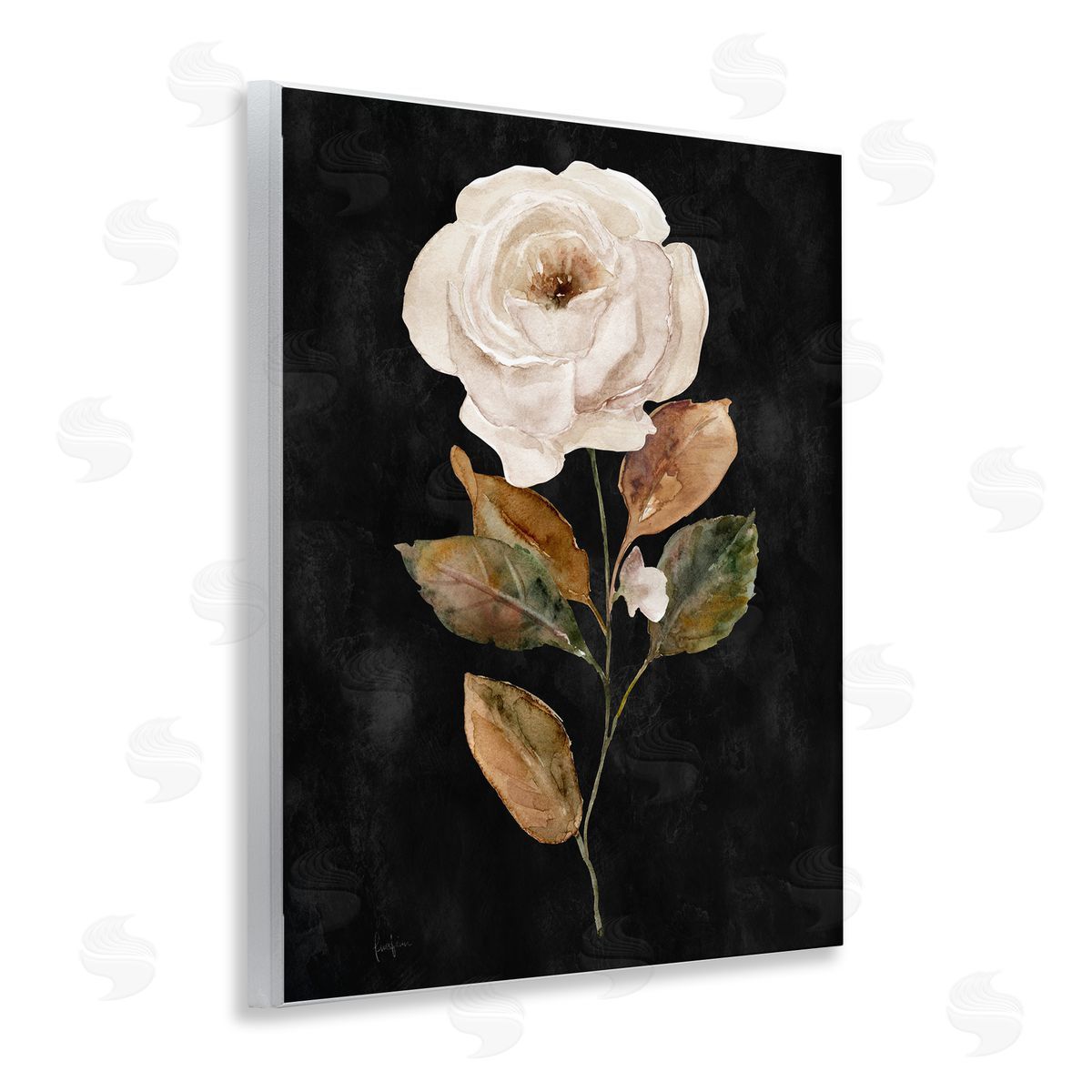 Livi Finn White Rose on Black Wooden Wall Plaque Art Print