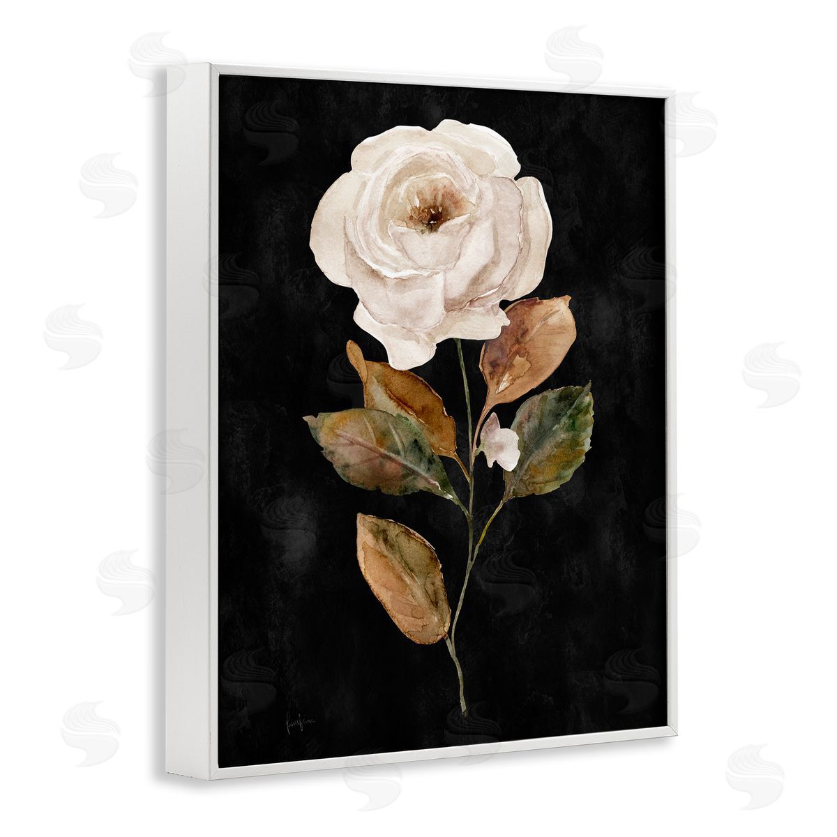 Livi Finn White Rose on Black White Framed Giclee Wall Art Print