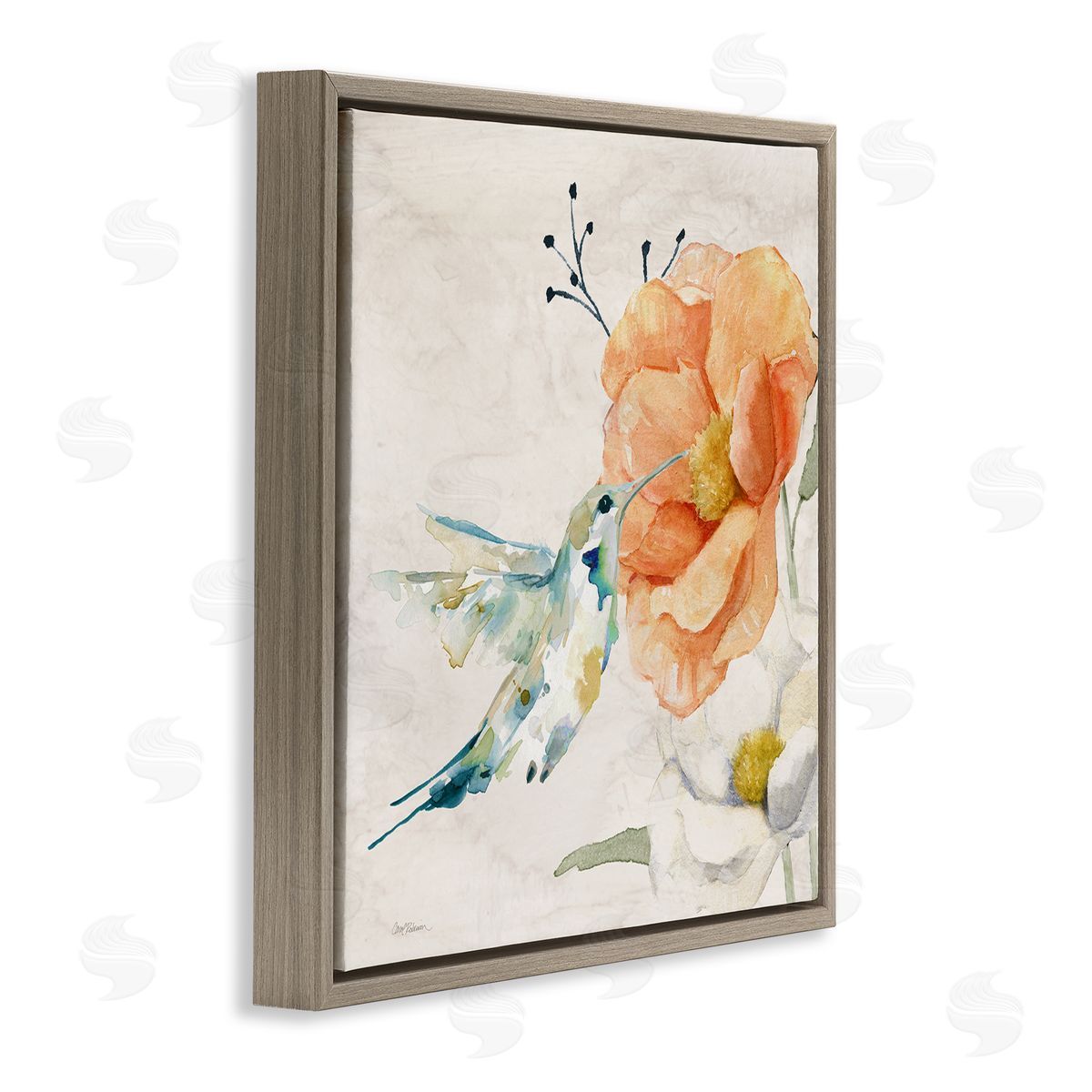 Carol Robinson Blossom & Hummingbird Brown Floating Frame Canvas Wall Art Print