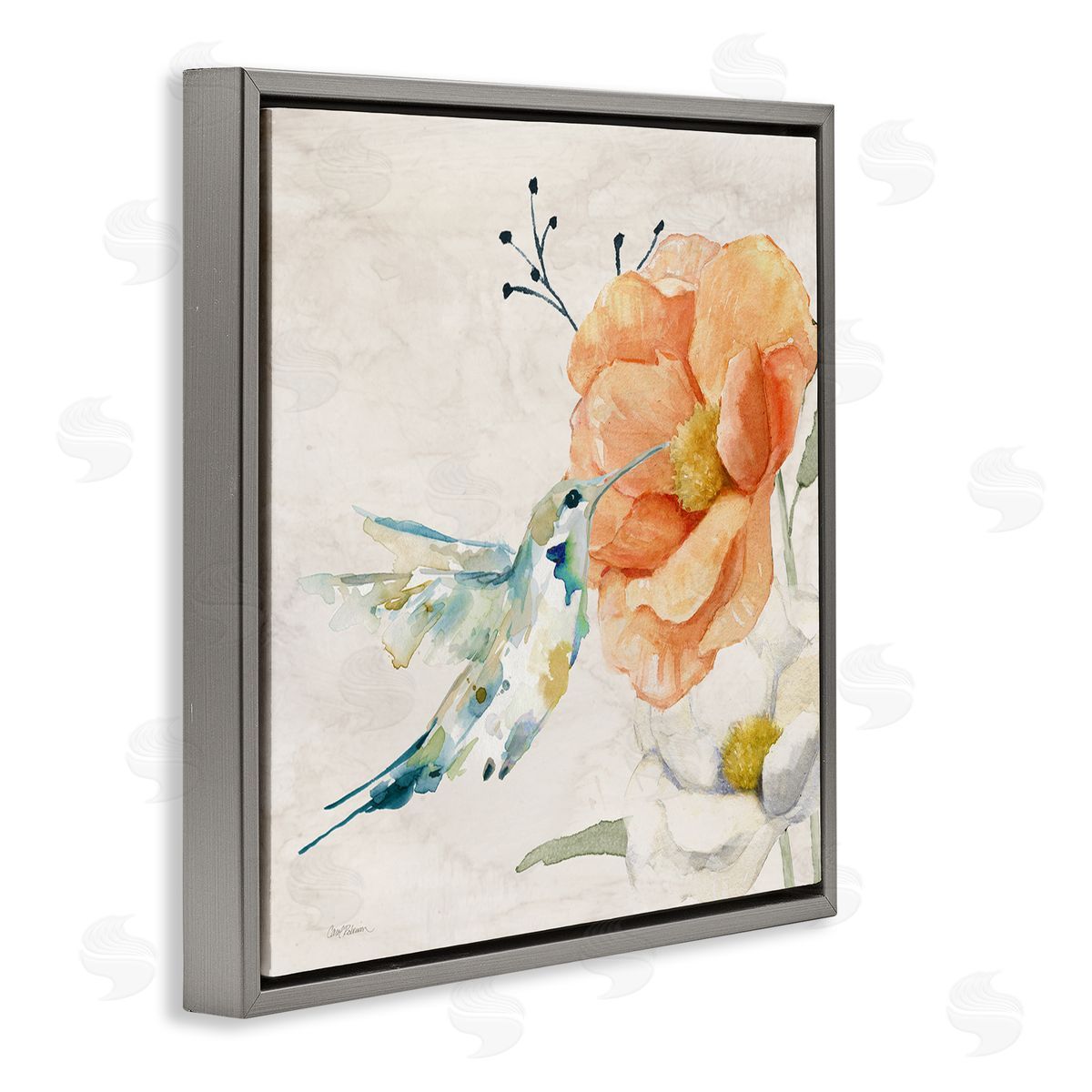 Carol Robinson Blossom & Hummingbird Gray Floating Frame Canvas Wall Art Print
