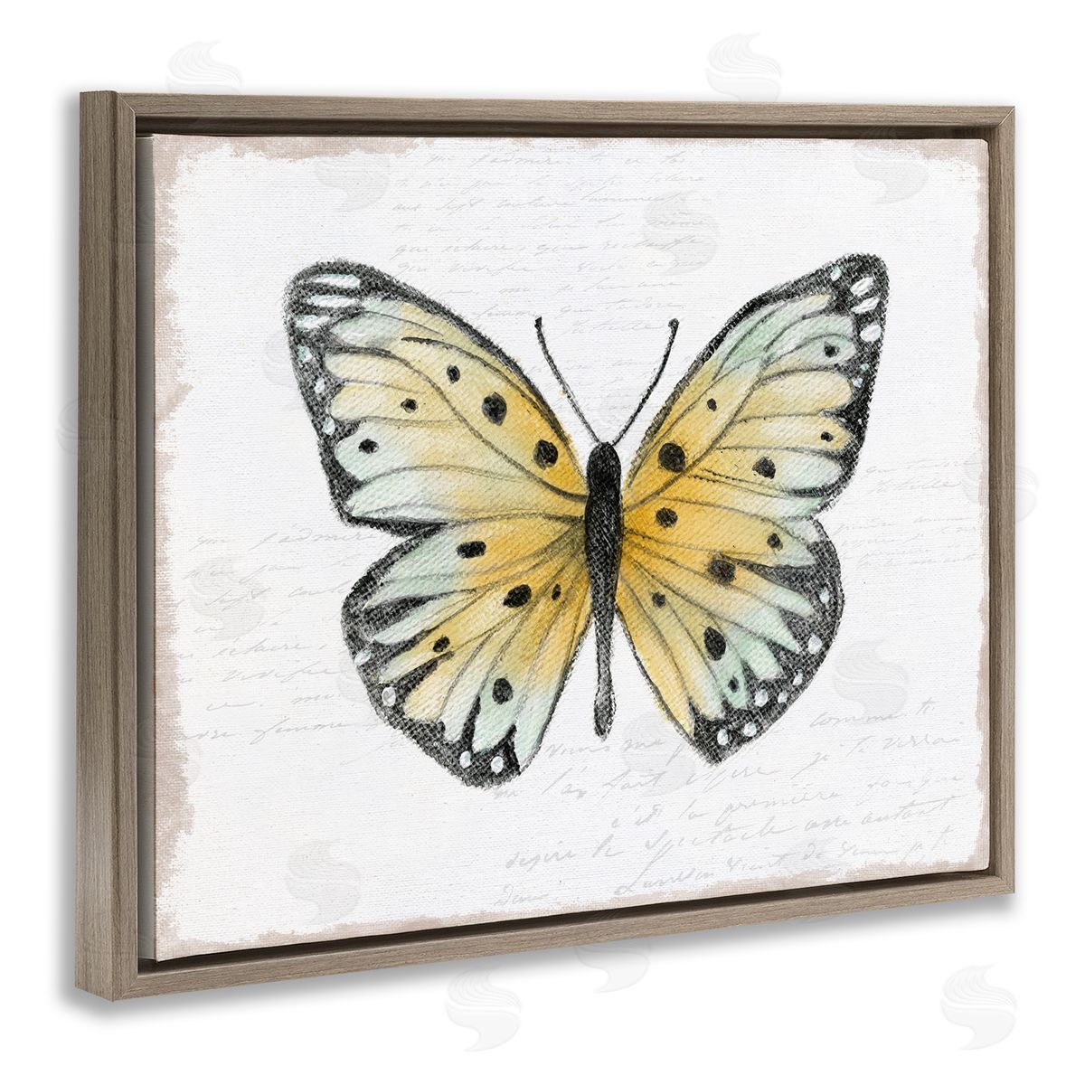 Janet Tava Beautiful Butterfly on White Brown Floating Frame Canvas Wall Art Print