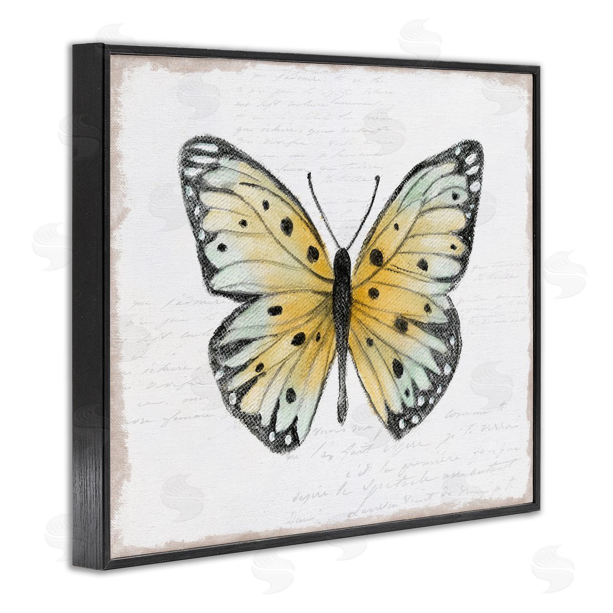 Janet Tava Beautiful Butterfly on White Black Framed Giclee Wall Art Print