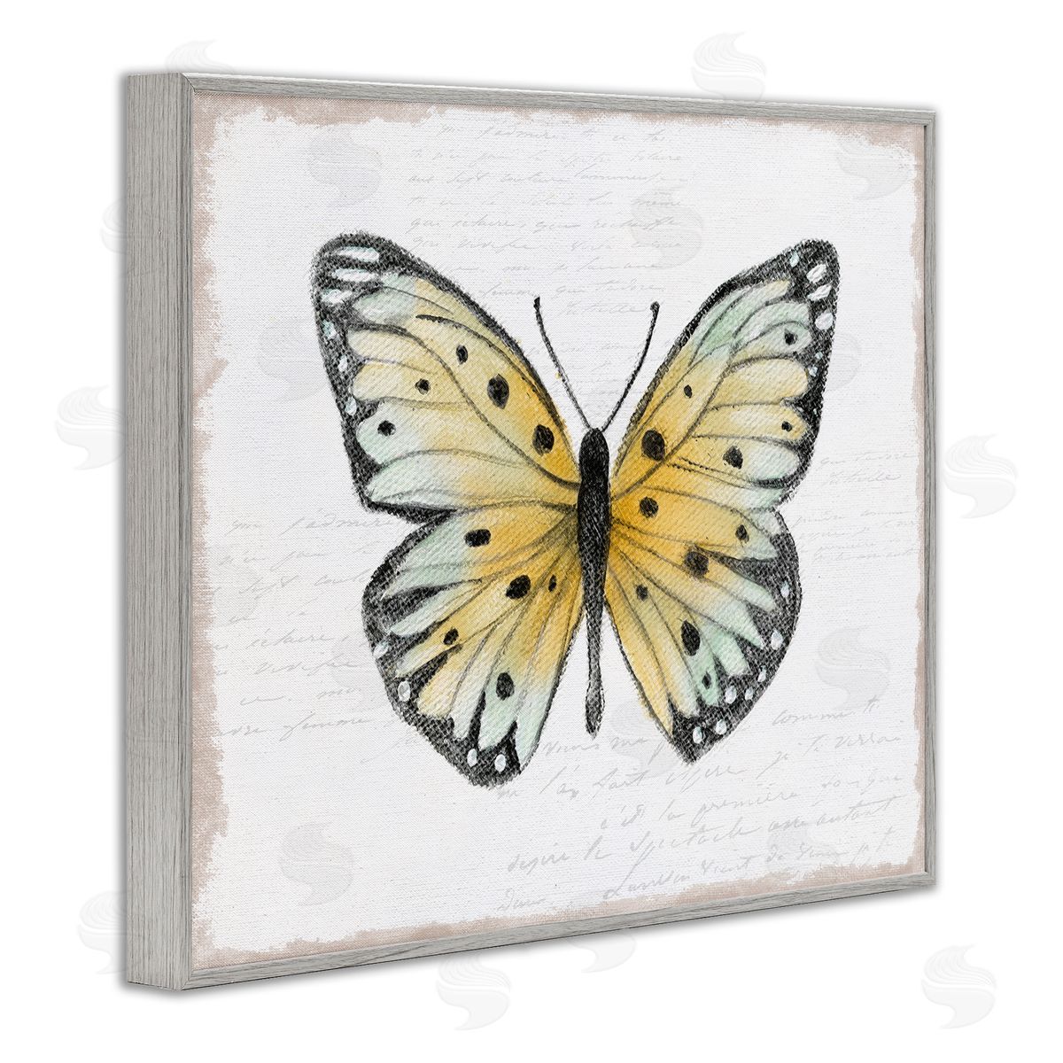 Janet Tava Beautiful Butterfly on White Gray Framed Giclee Wall Art Print
