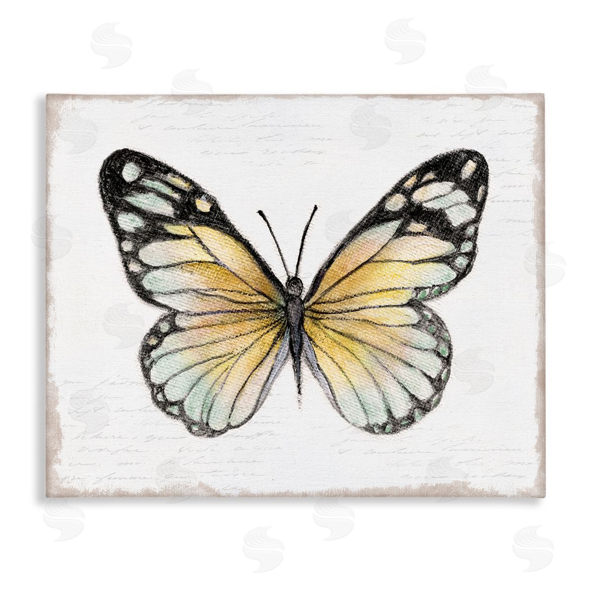 Janet Tava Country Butterfly on White Canvas Wall Art Print