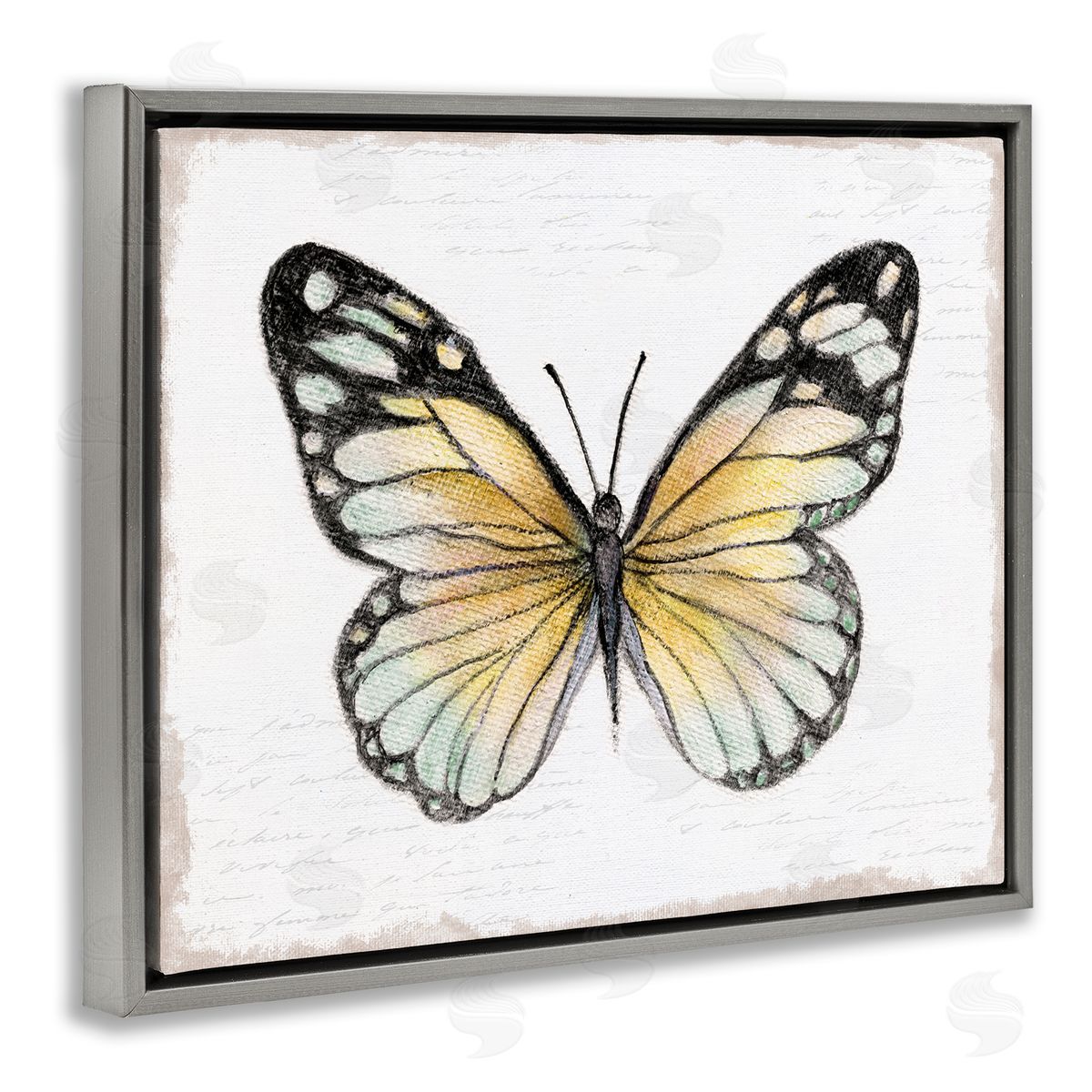 Janet Tava Country Butterfly on White Gray Floating Frame Canvas Wall Art Print