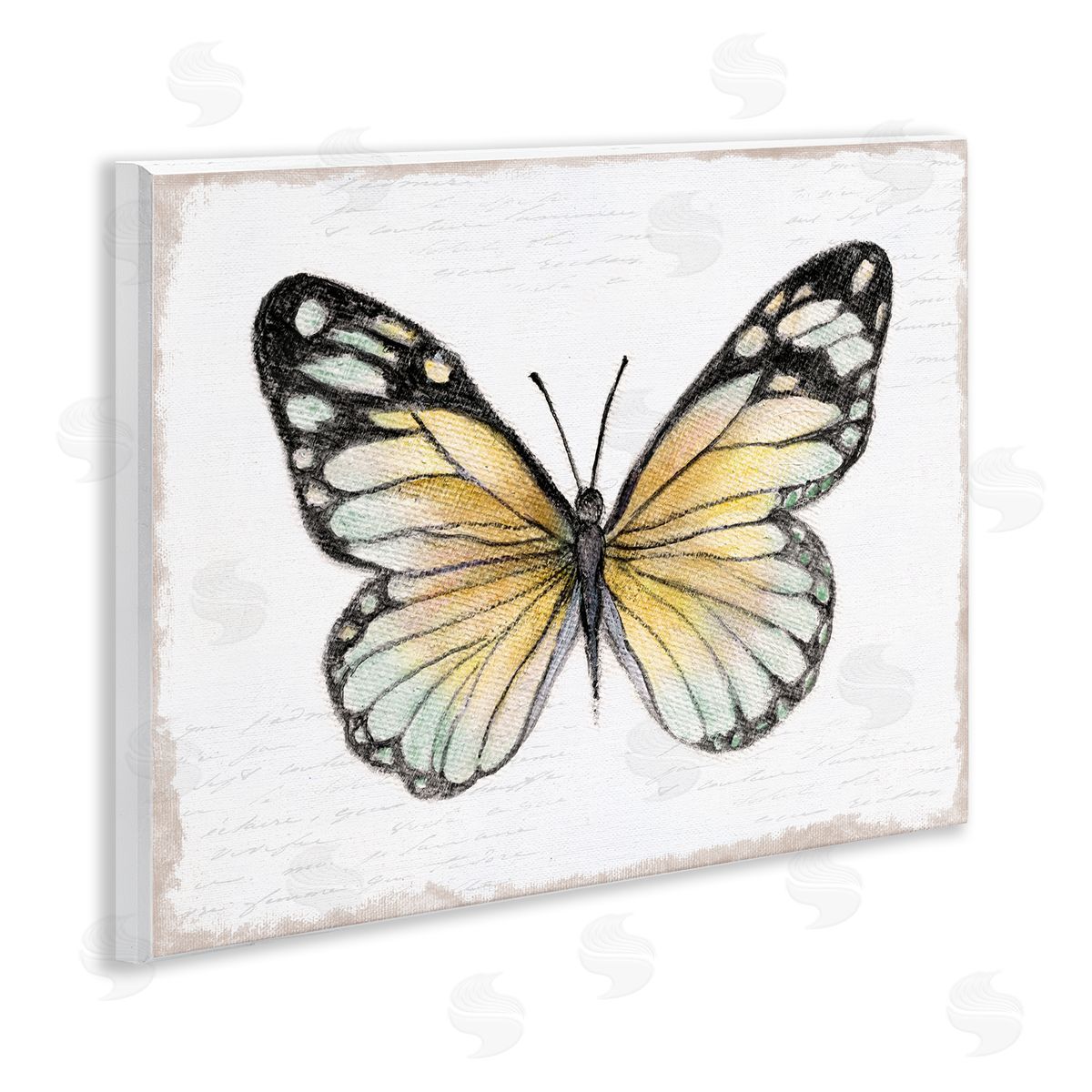 Janet Tava Country Butterfly on White Wooden Wall Plaque Art Print