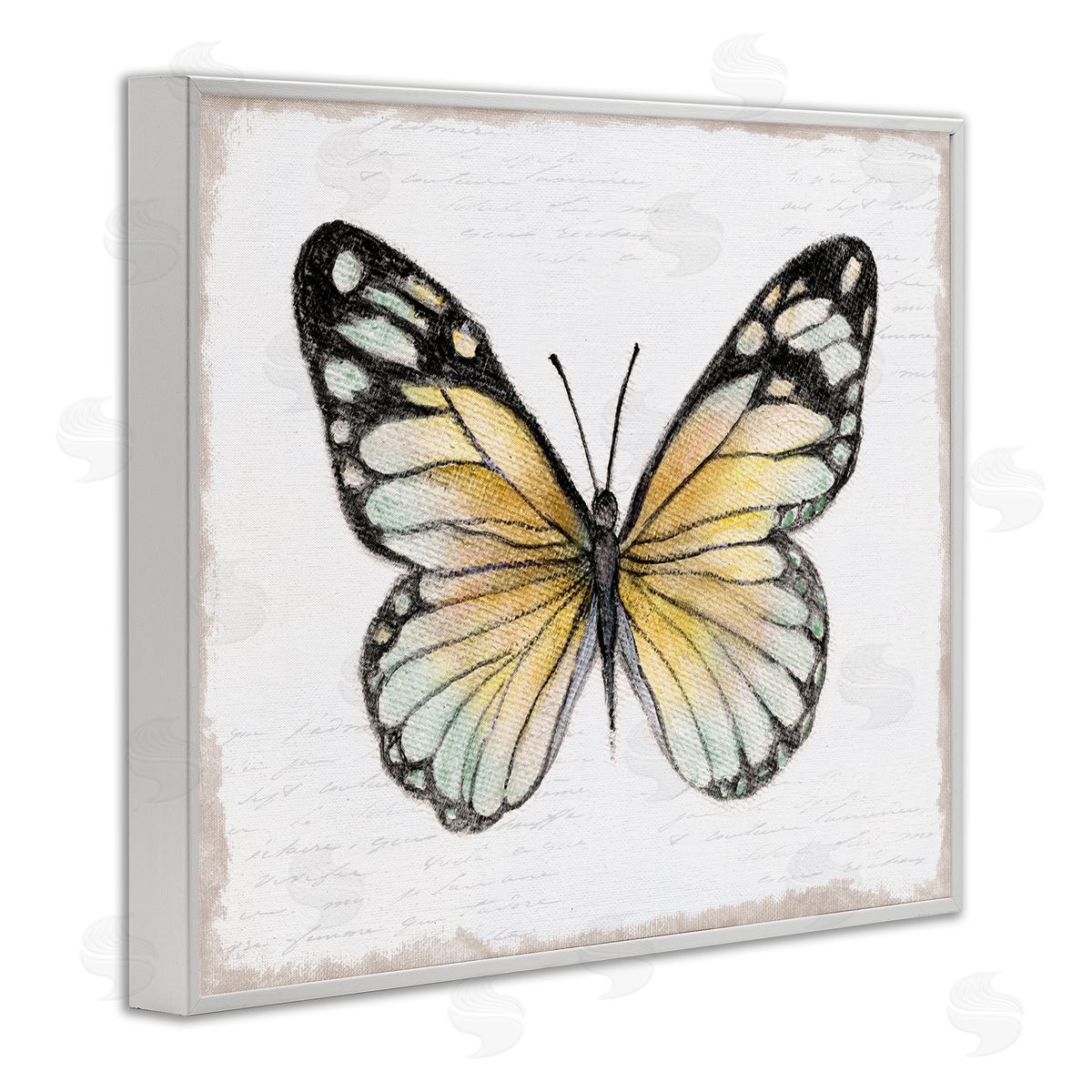 Janet Tava Country Butterfly on White White Framed Giclee Wall Art Print