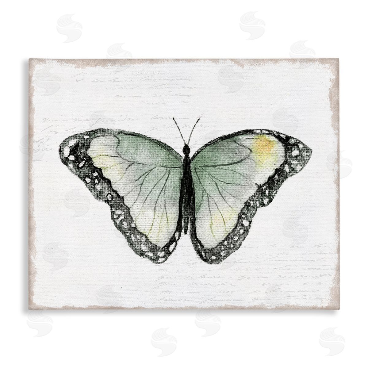Janet Tava Simple Butterfly Visage Canvas Wall Art Print