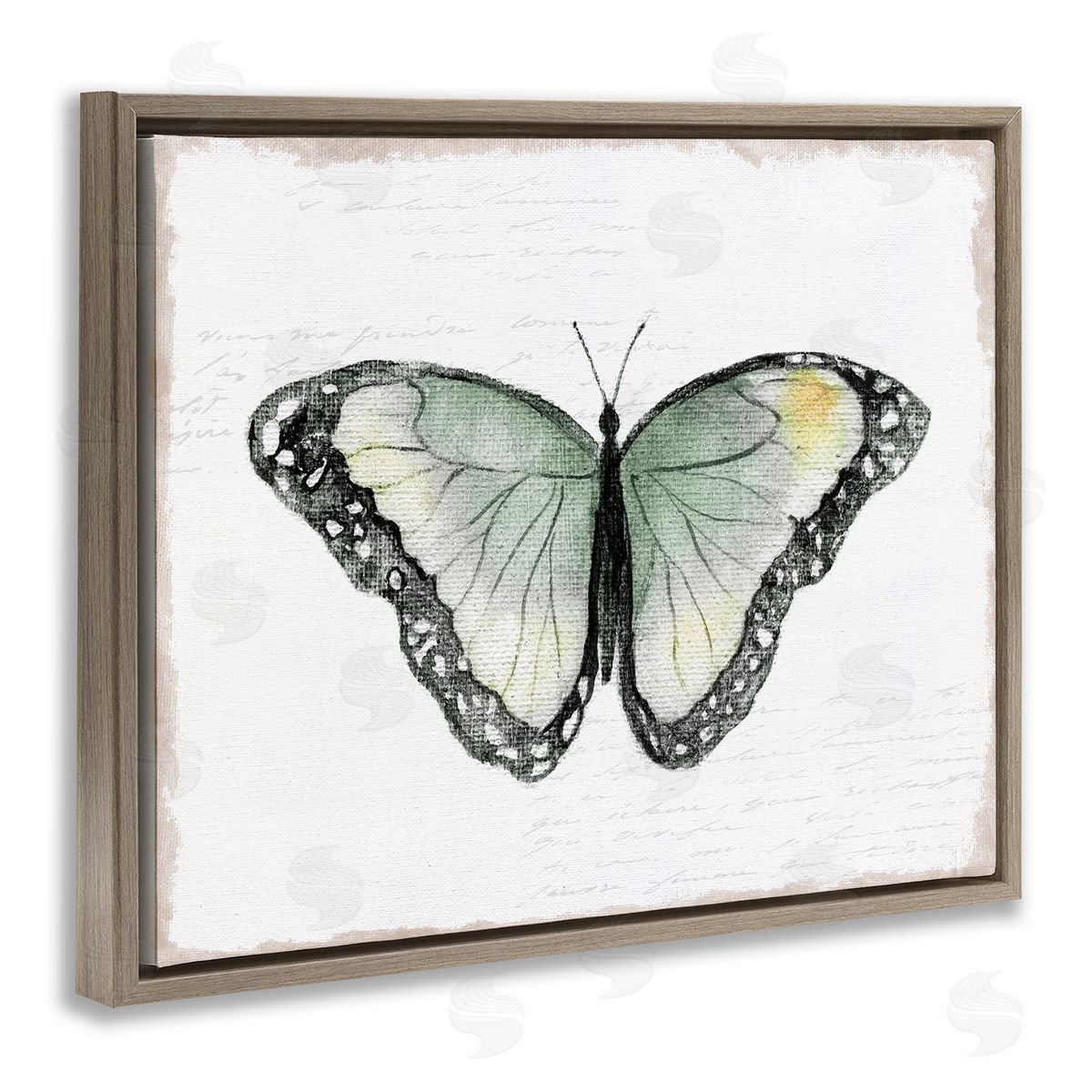Janet Tava Simple Butterfly Visage Brown Floating Frame Canvas Wall Art Print