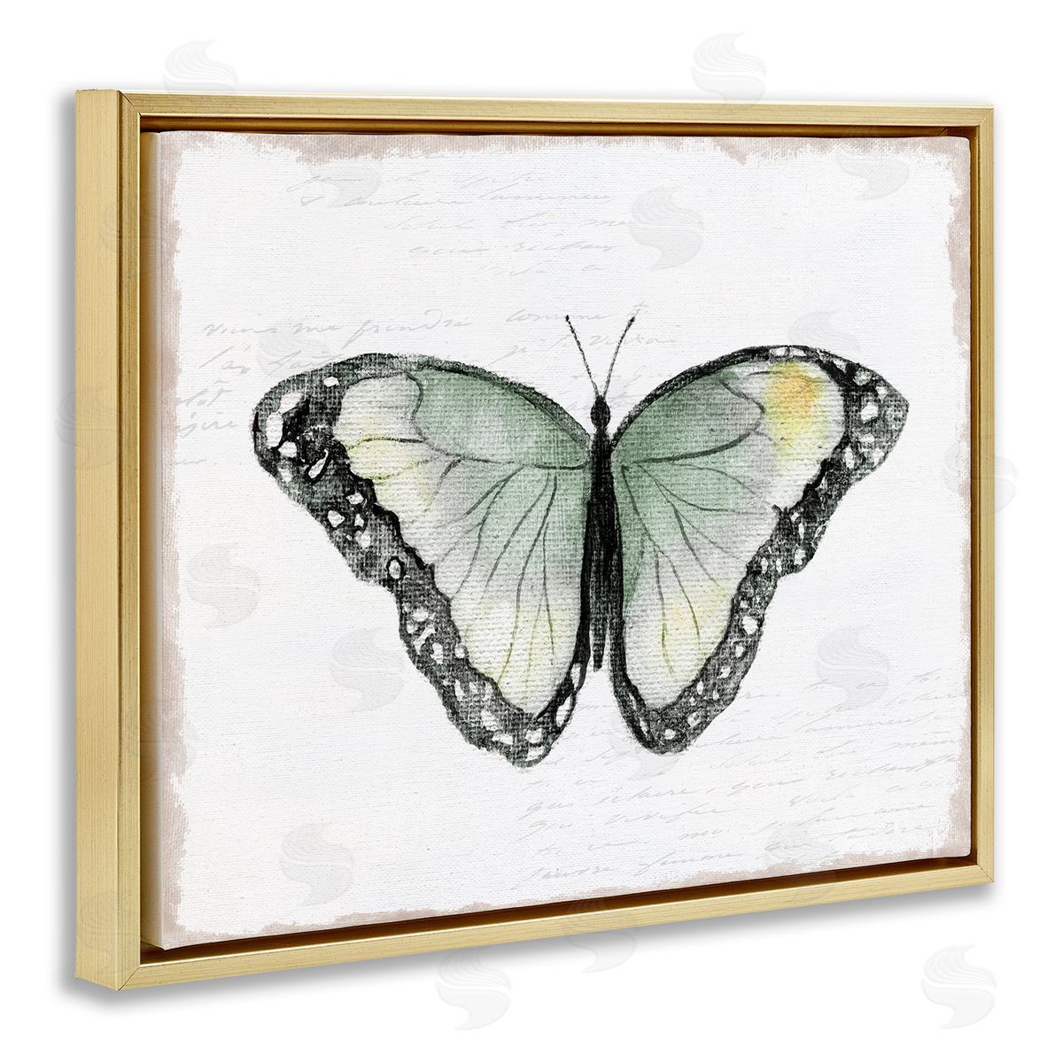Janet Tava Simple Butterfly Visage Gold Floating Frame Canvas Wall Art Print