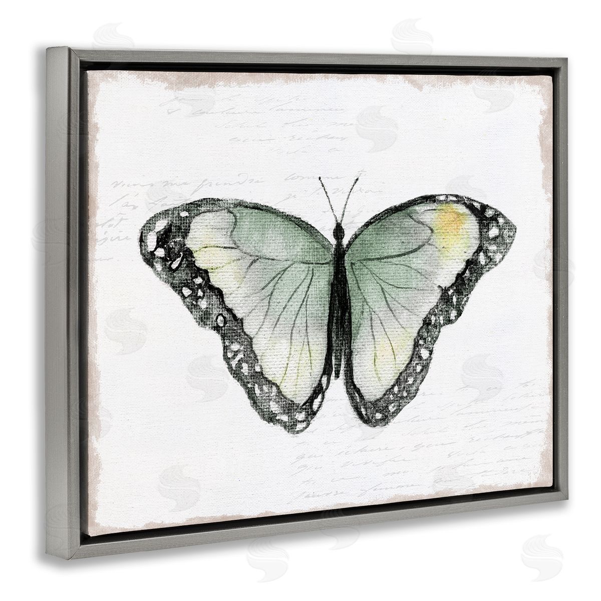 Janet Tava Simple Butterfly Visage Gray Floating Frame Canvas Wall Art Print