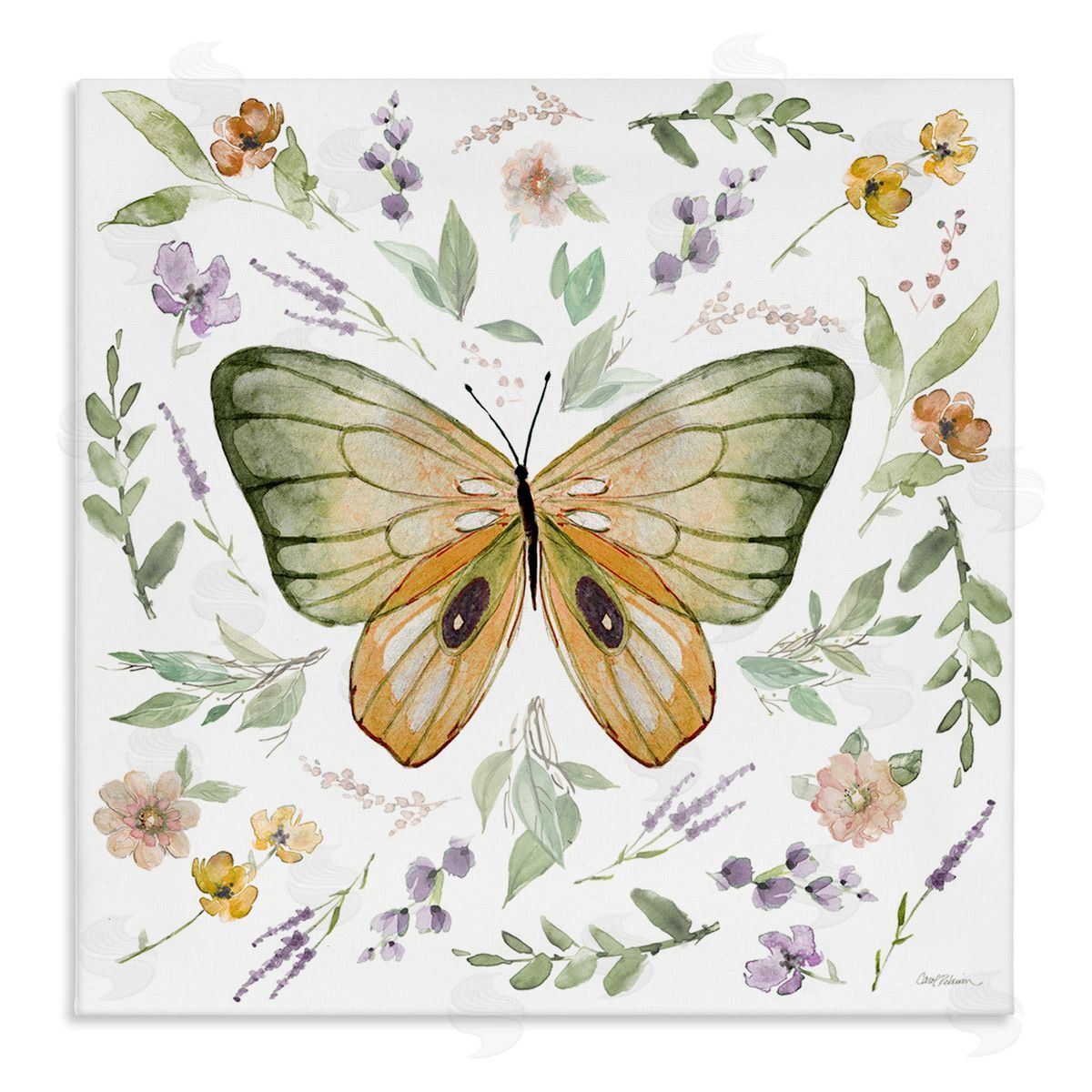 Carol Robinson Cottage Butterfly Botanicals Canvas Wall Art Print