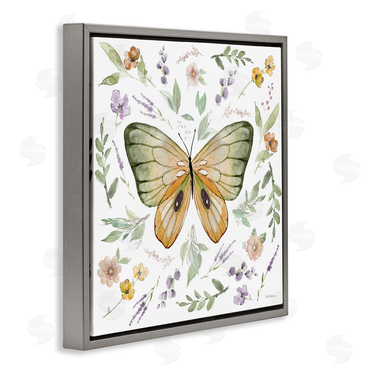 Carol Robinson Cottage Butterfly Botanicals Gray Floating Frame Canvas Wall Art Print