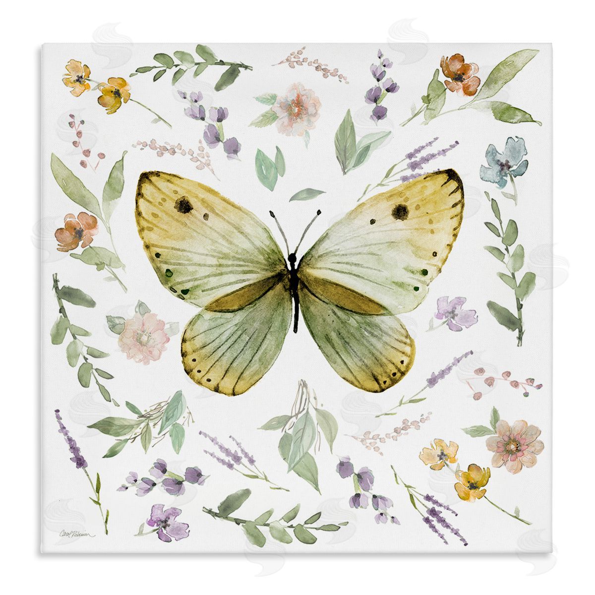 Carol Robinson Chic Cottage Butterfly Canvas Wall Art Print