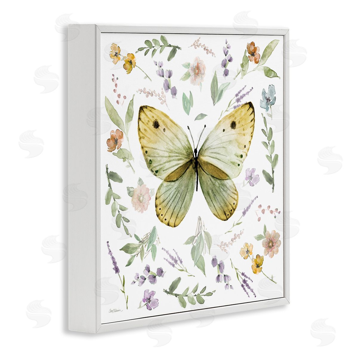 Carol Robinson Chic Cottage Butterfly White Framed Giclee Wall Art Print