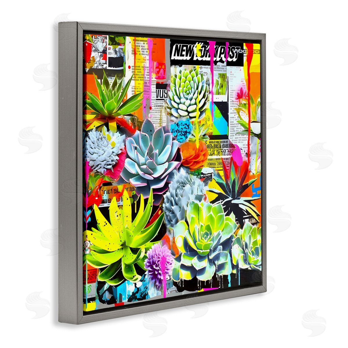 Jess Stempel Urban Graffiti Succulents Gray Floating Frame Canvas Wall Art Print