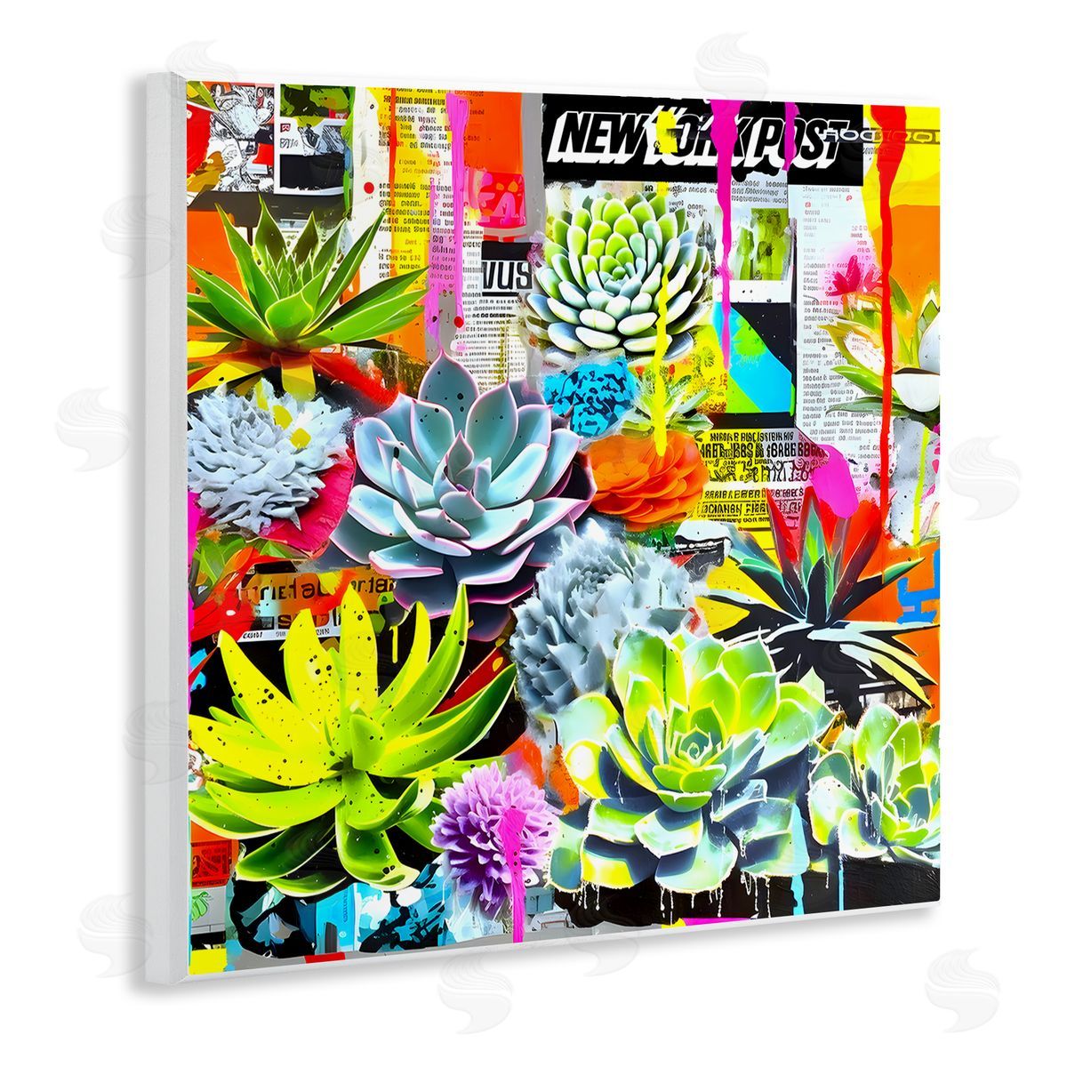 Jess Stempel Urban Graffiti Succulents Wooden Wall Plaque Art Print